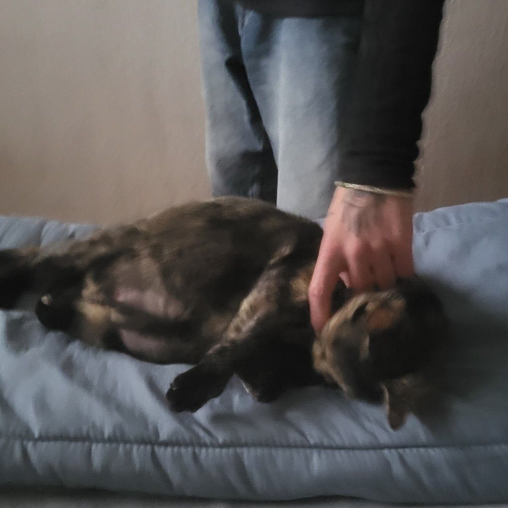 image-3