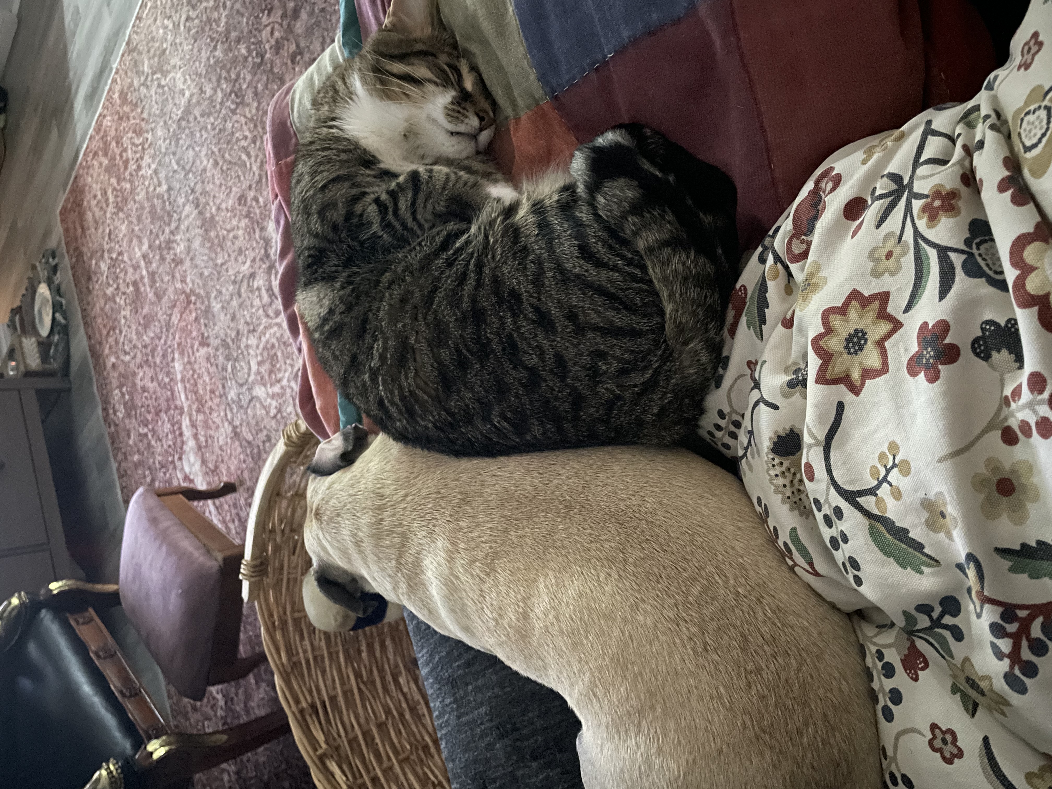 image-6