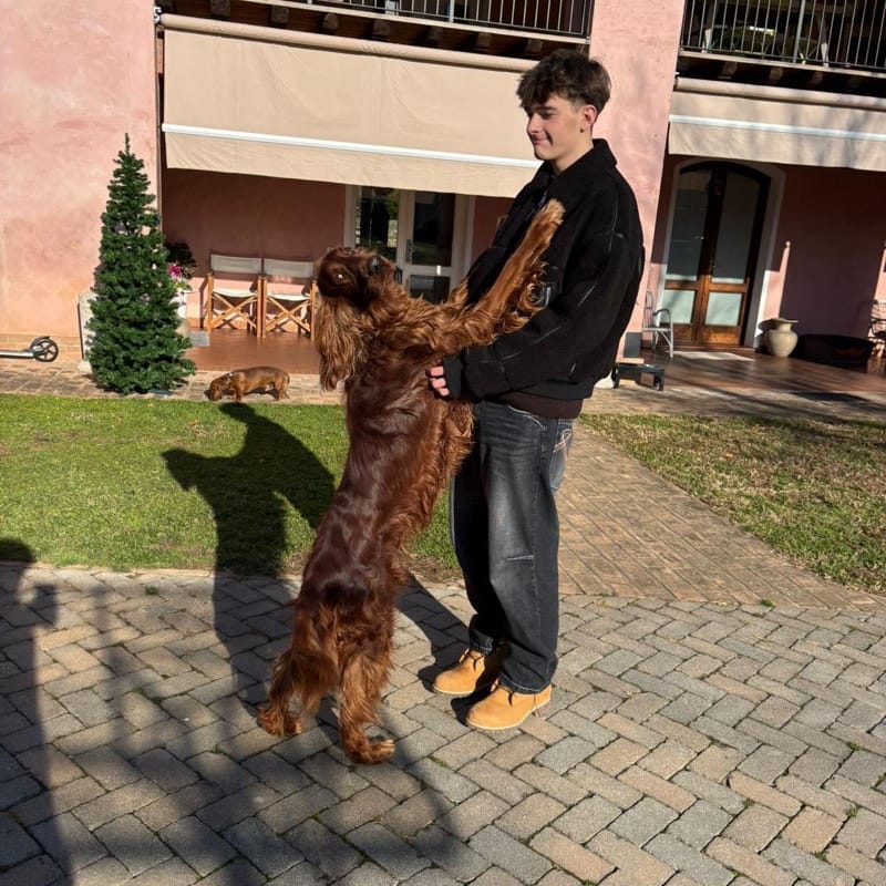 Sebastiano