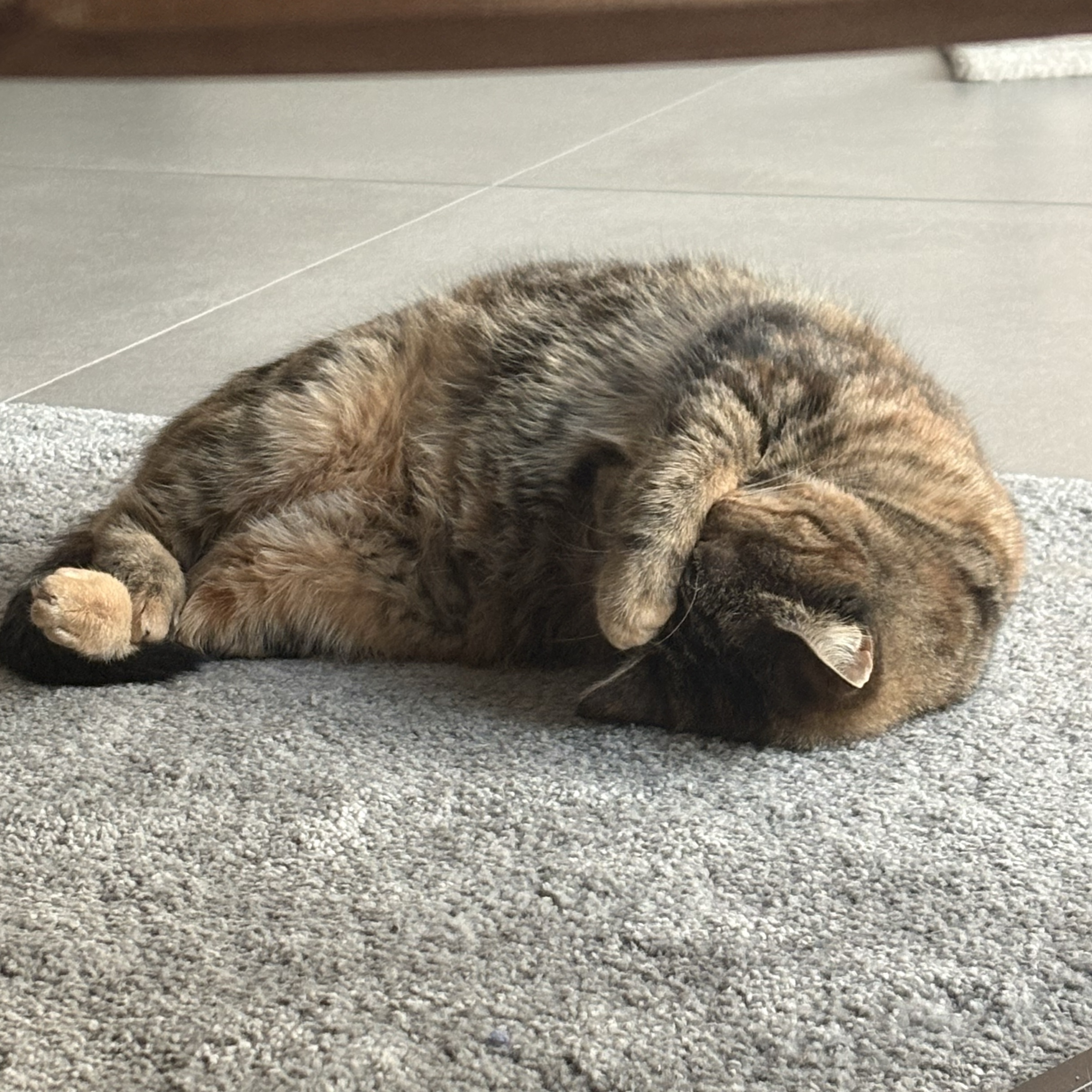 Alba 