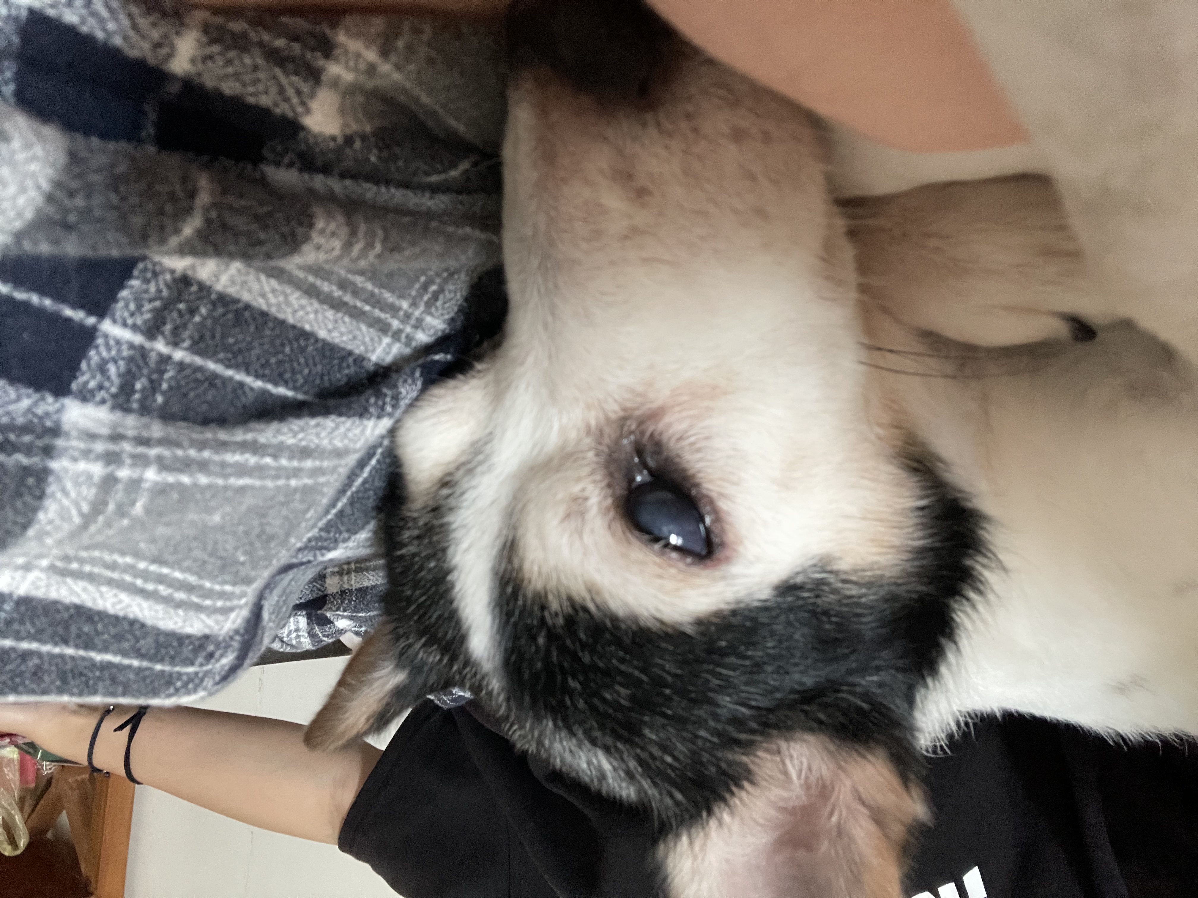 image-16