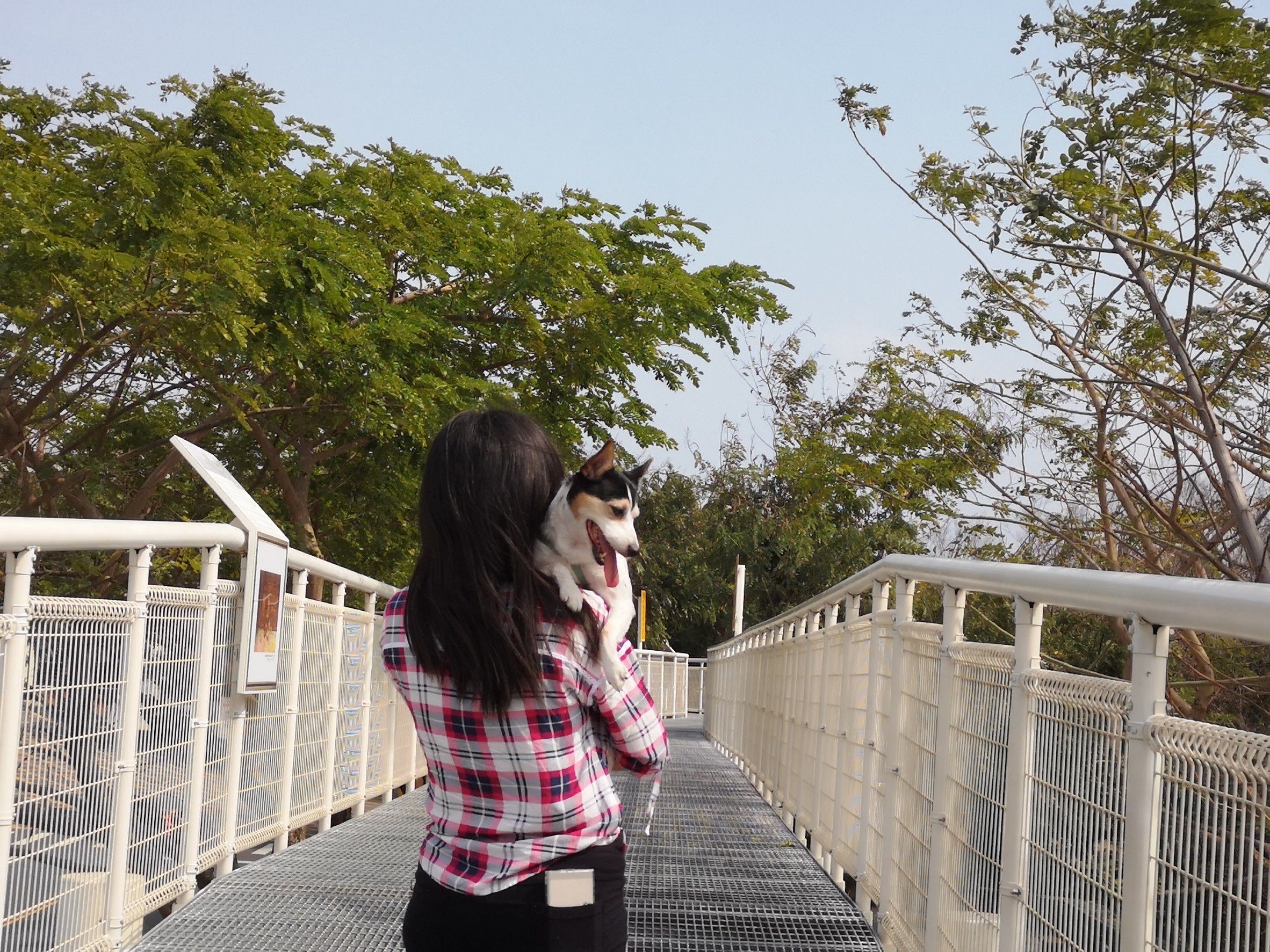 image-5