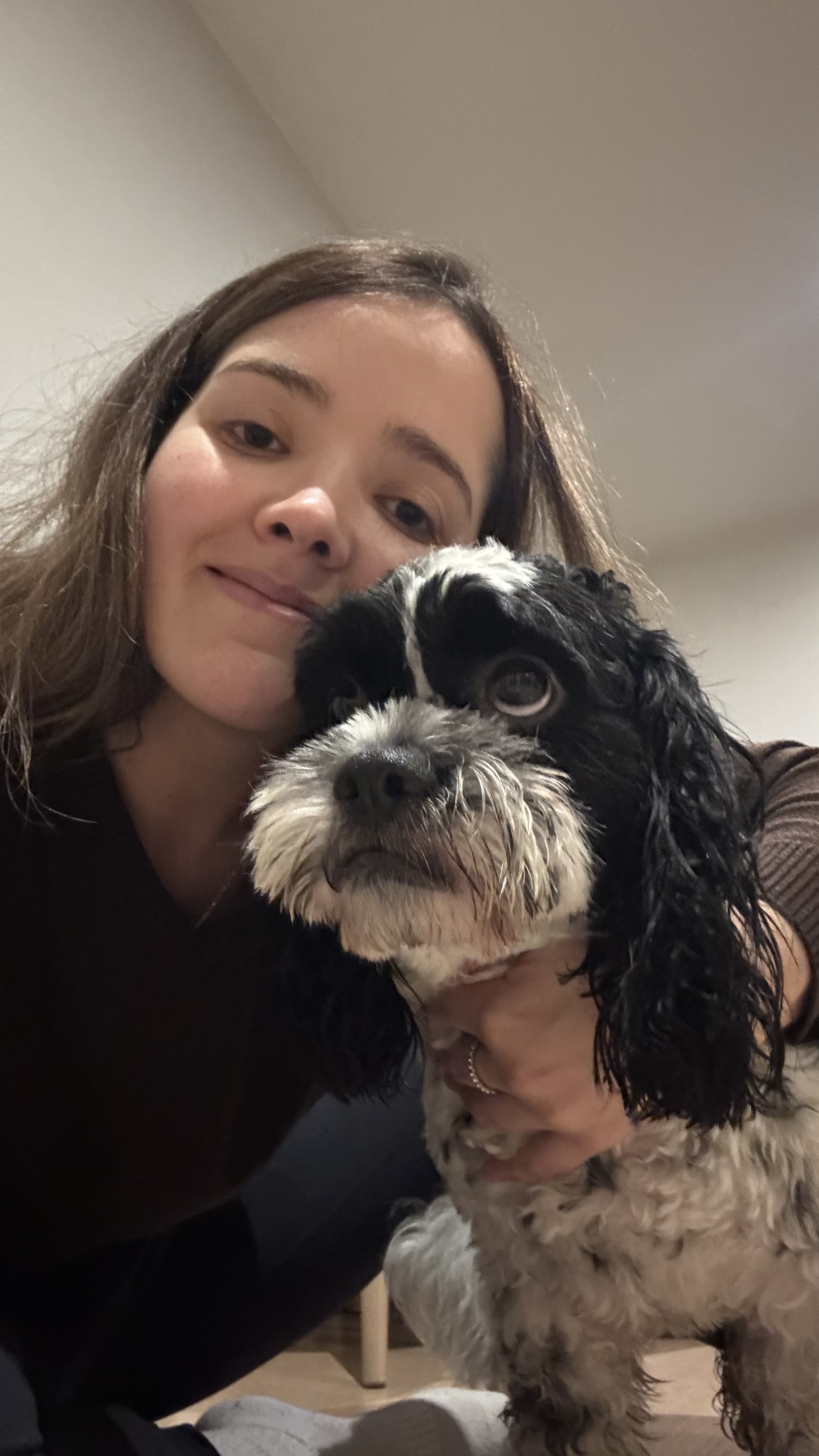 image-6