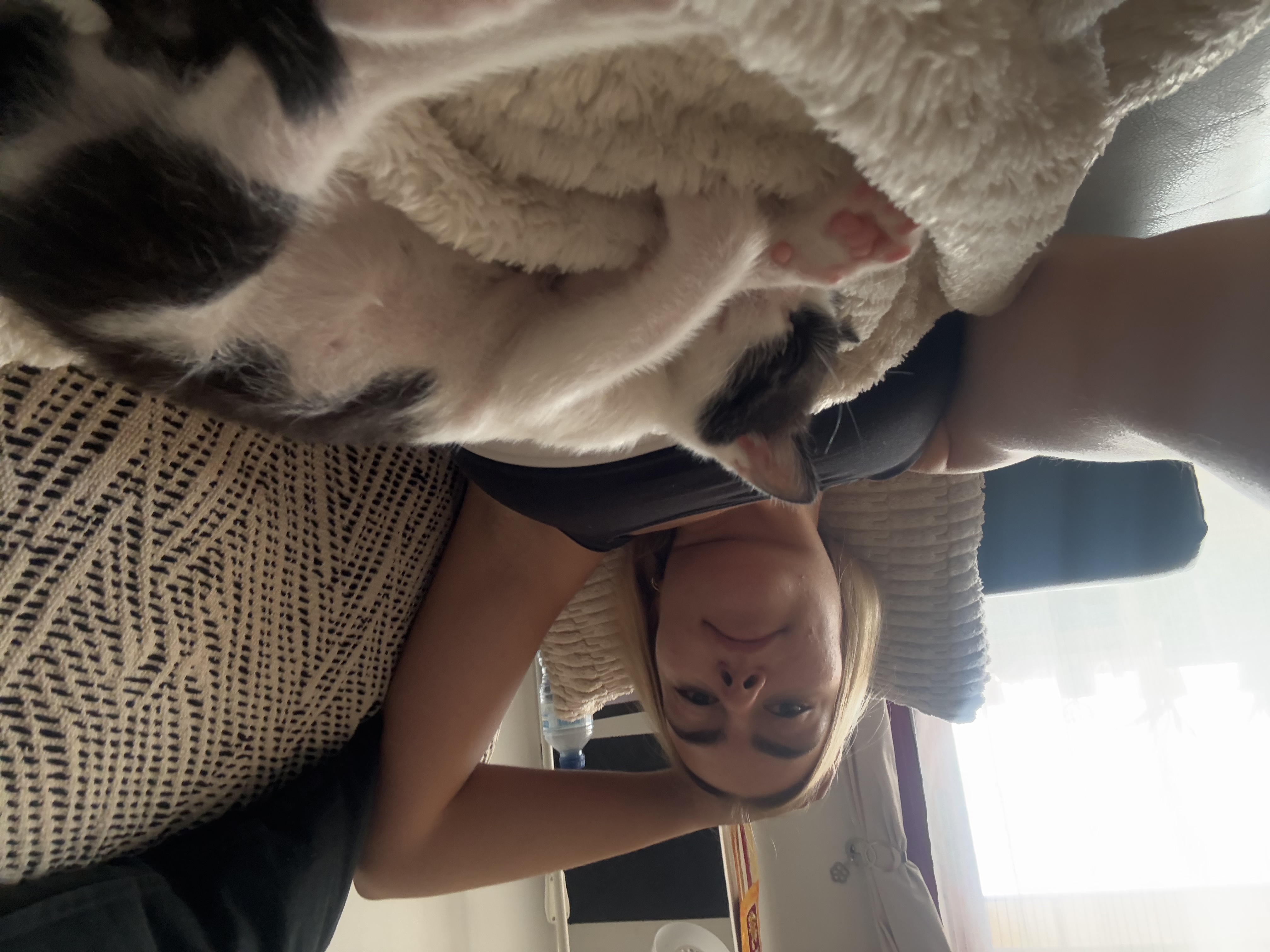 image-8