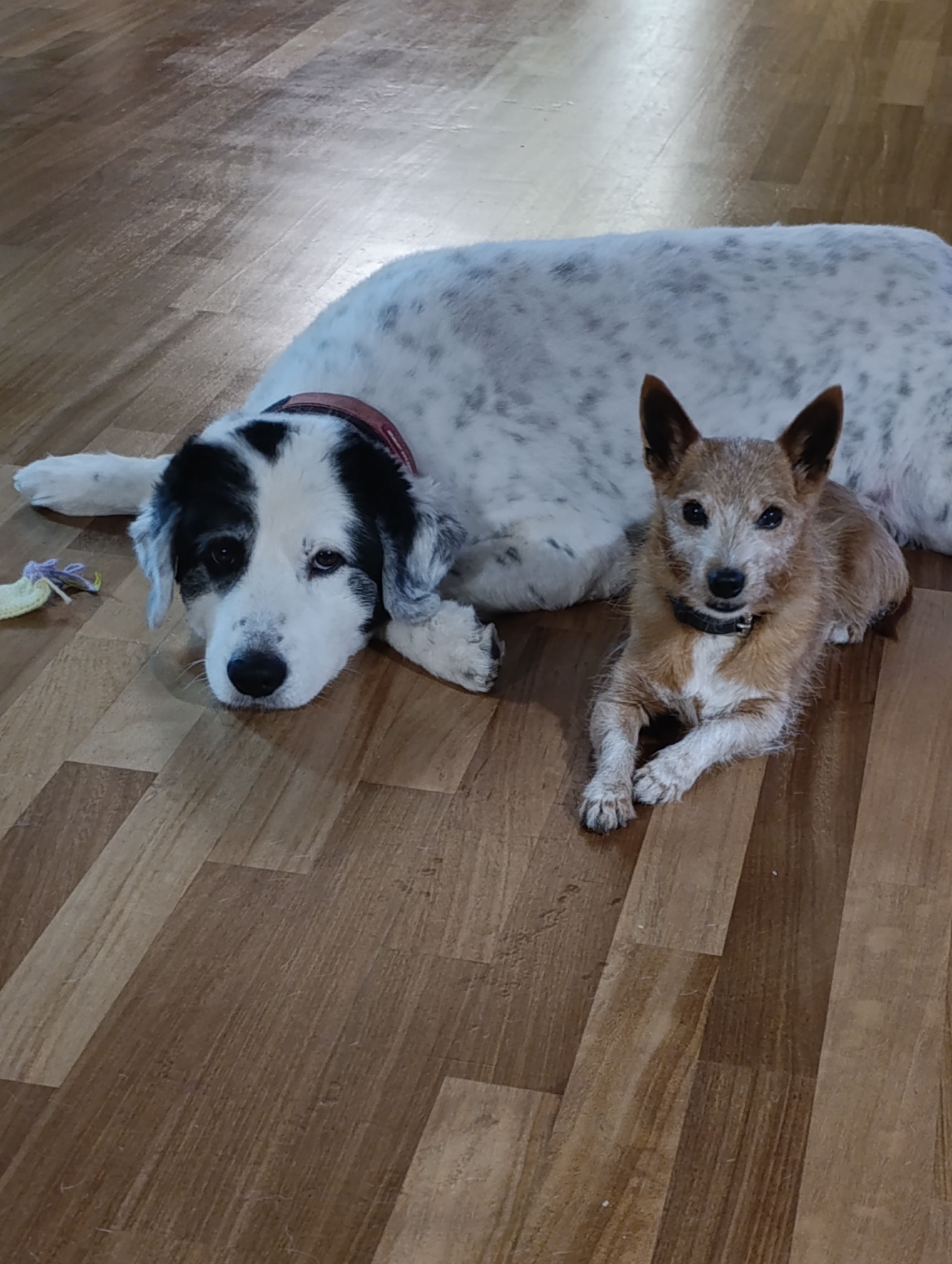 image-10