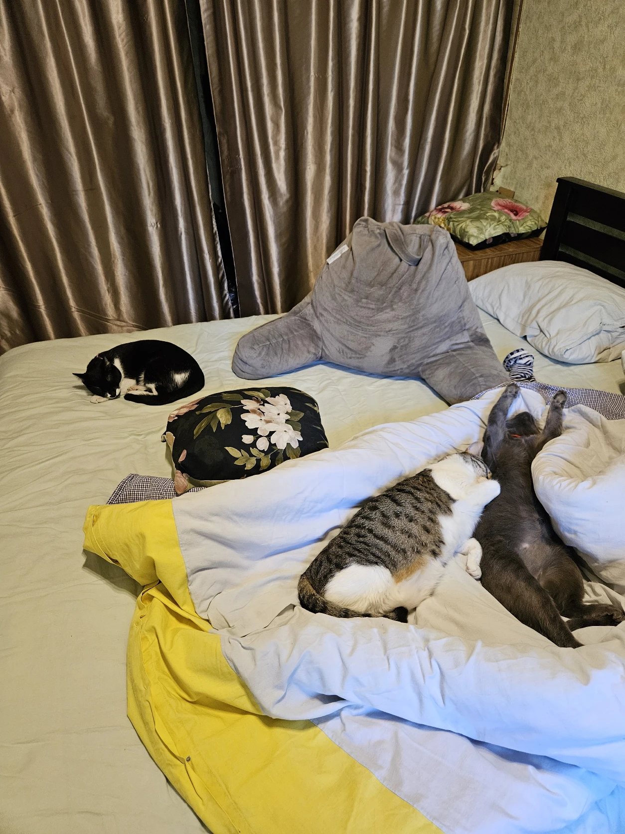image-17