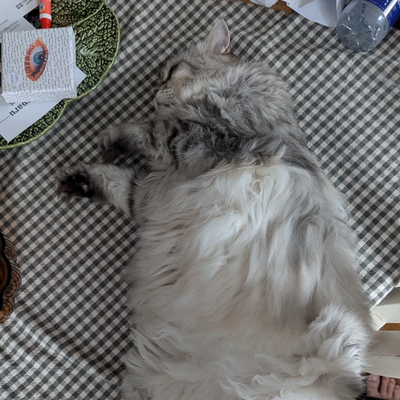 Mimi