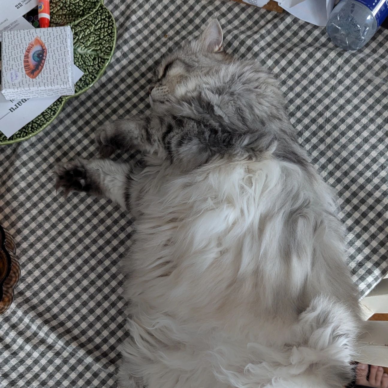 Mimi
