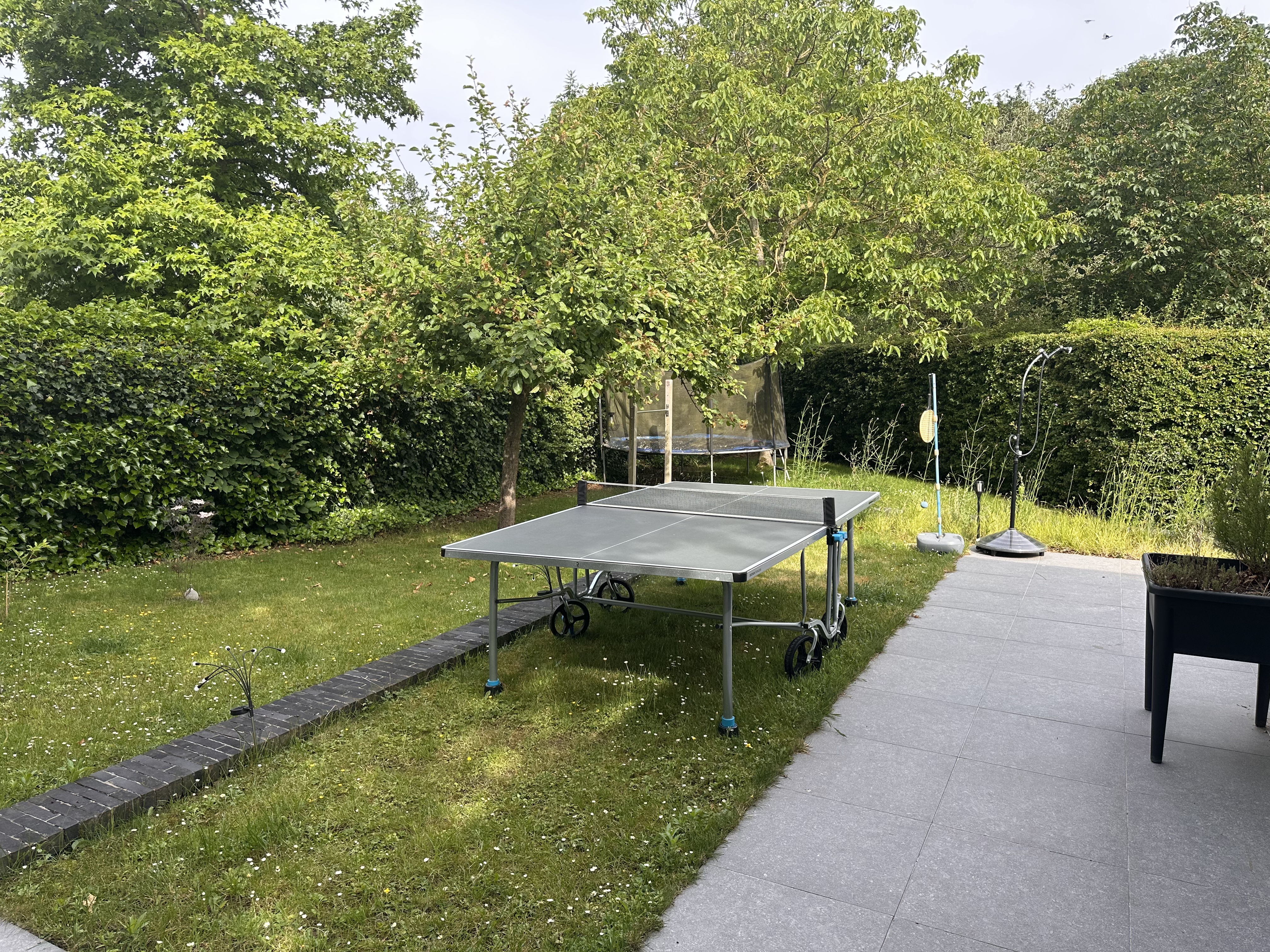 image-18