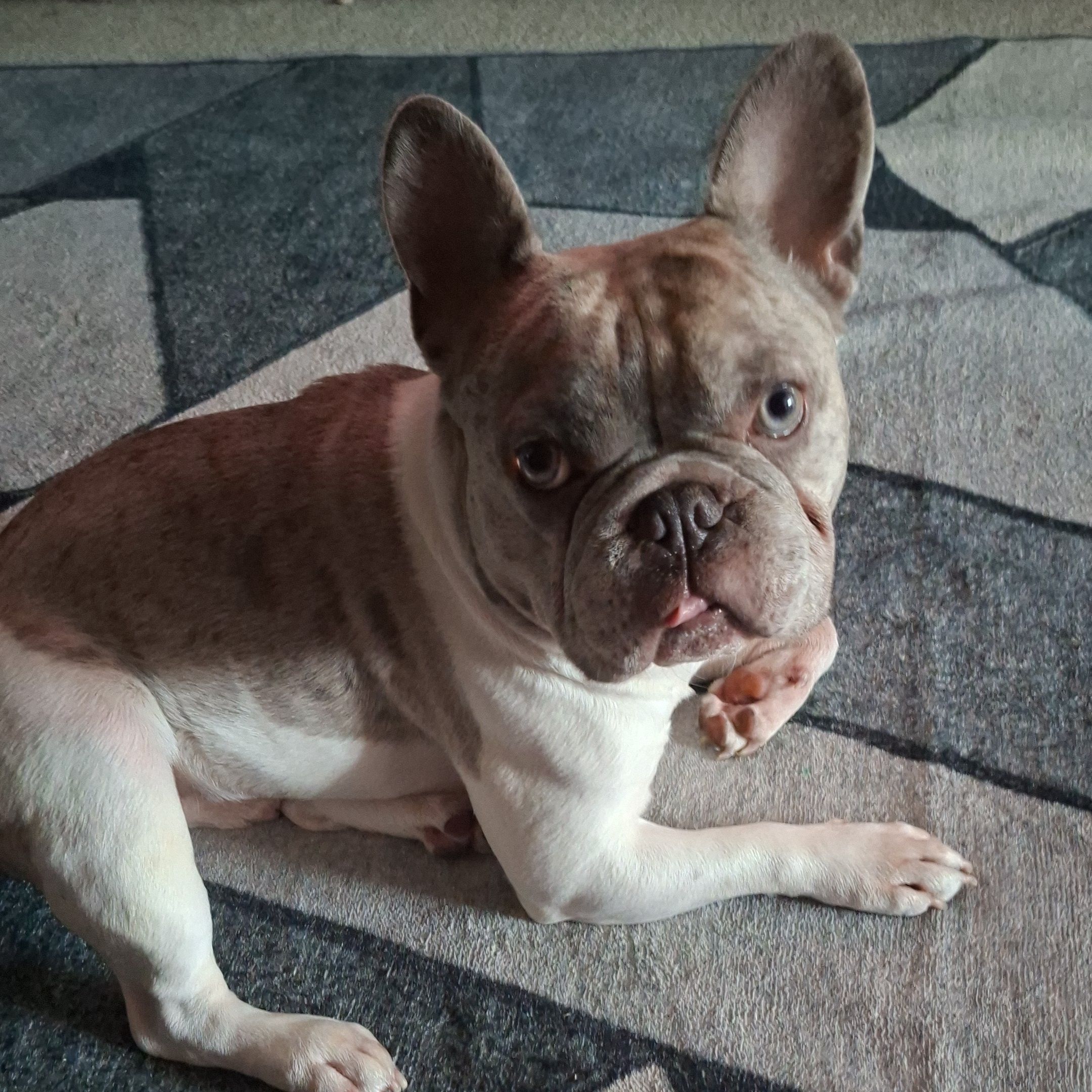 Meatball
