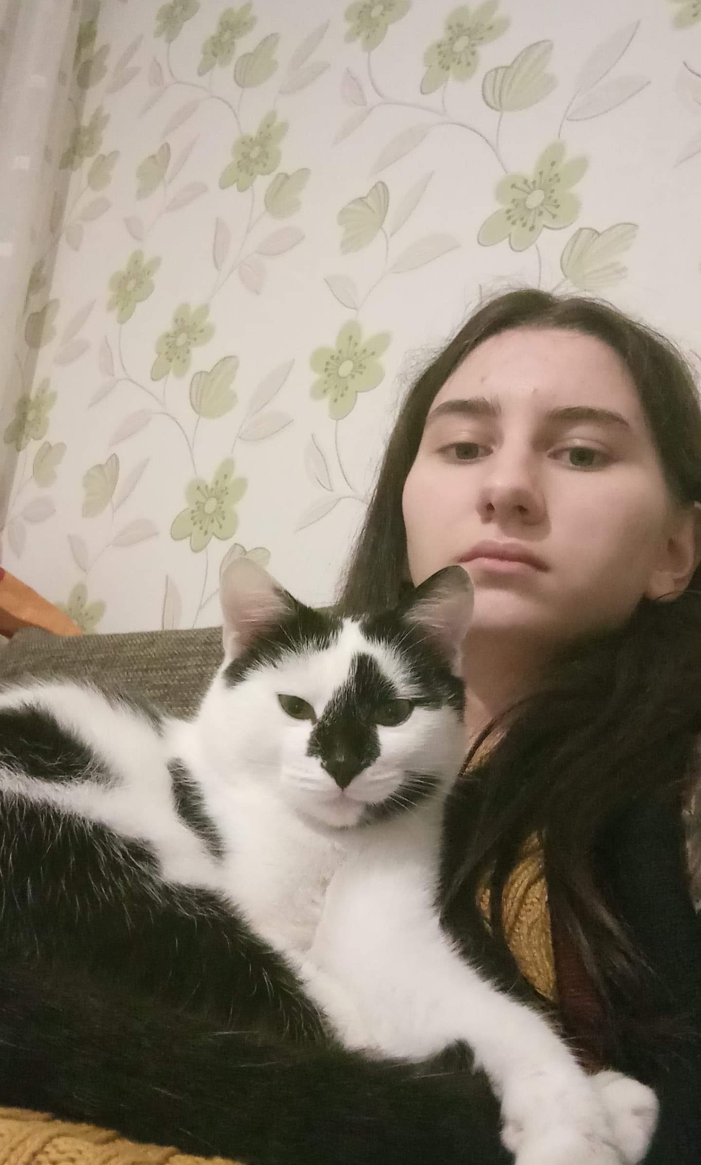 image-9