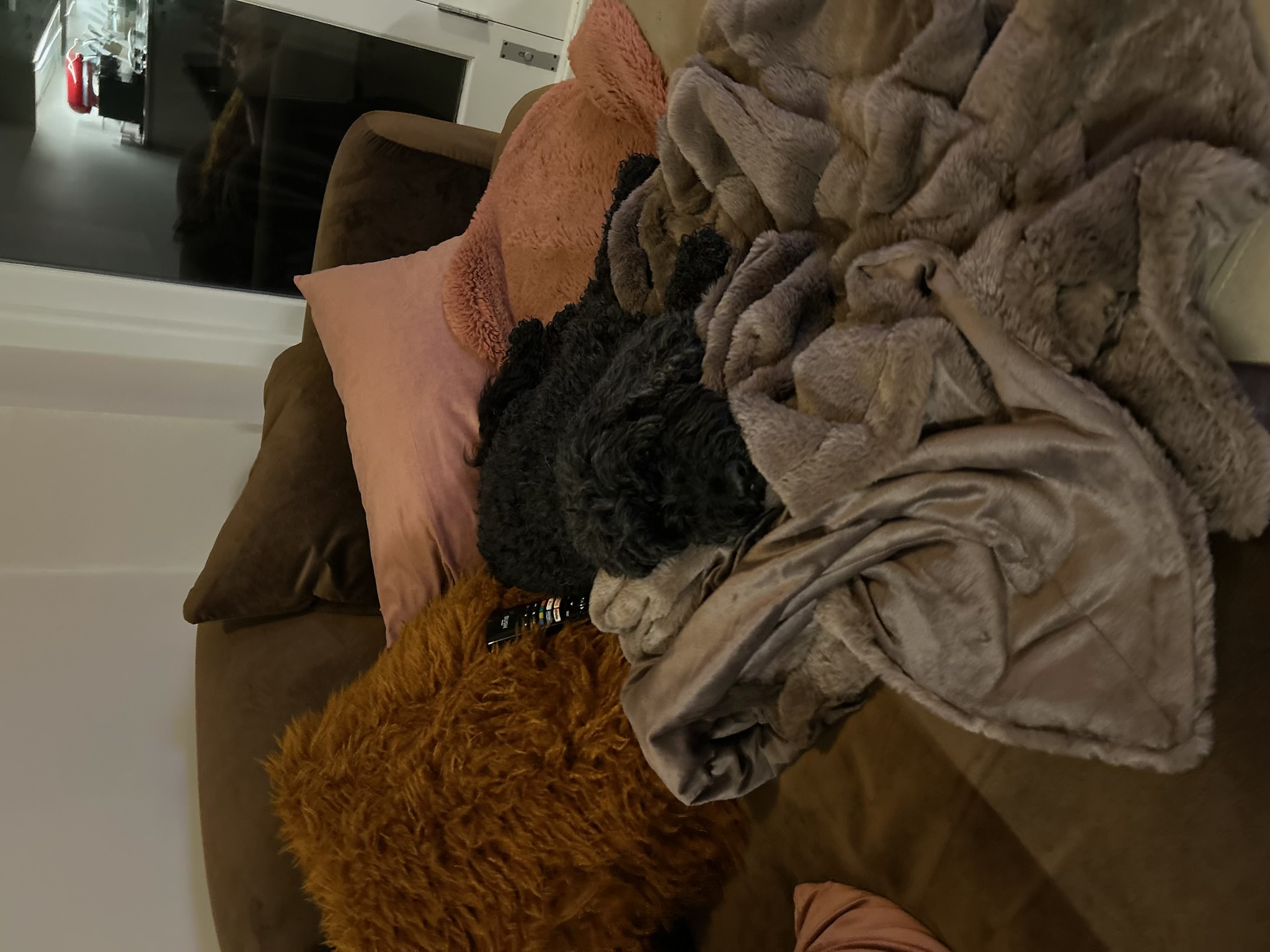 image-9
