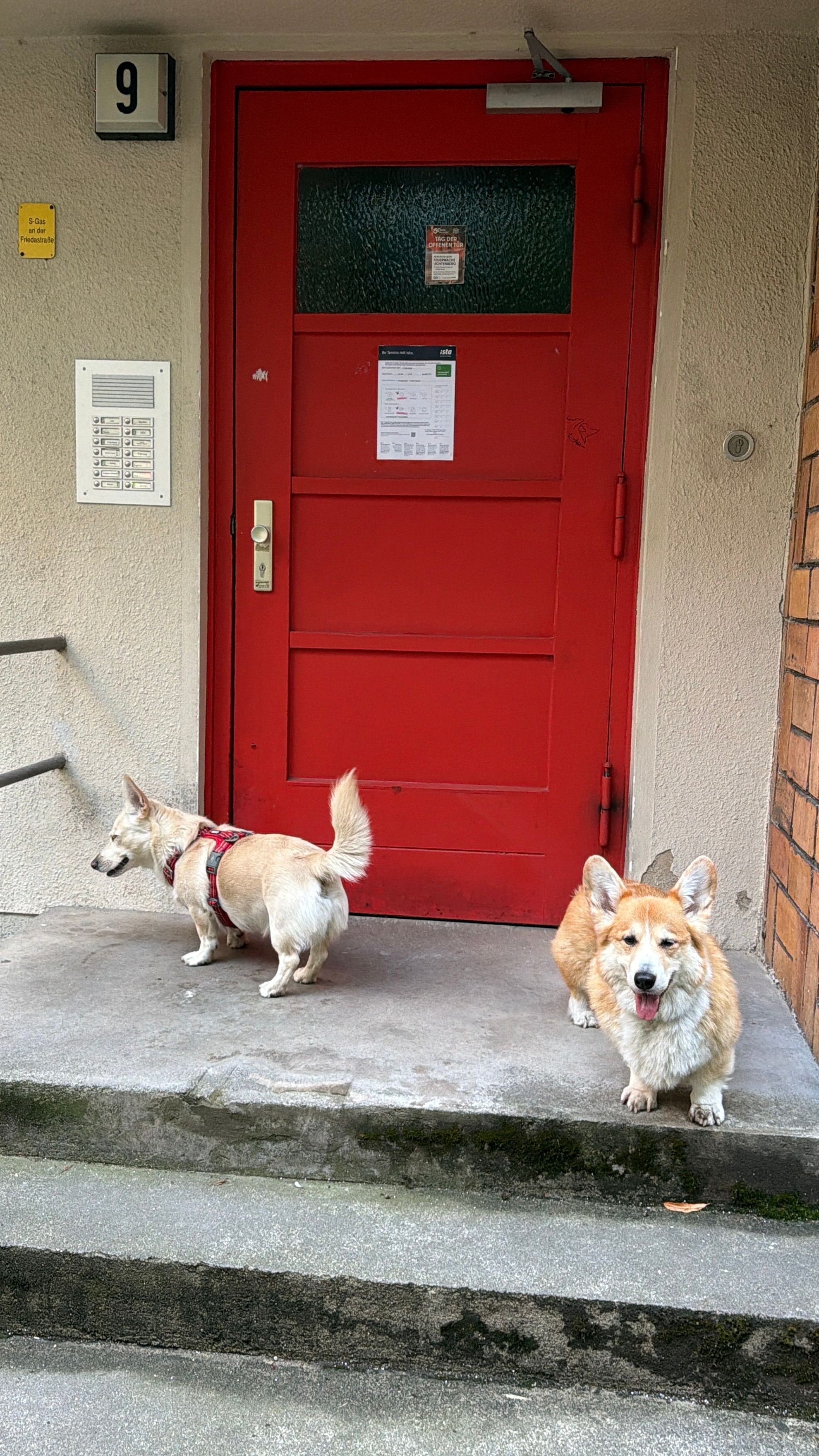 image-14