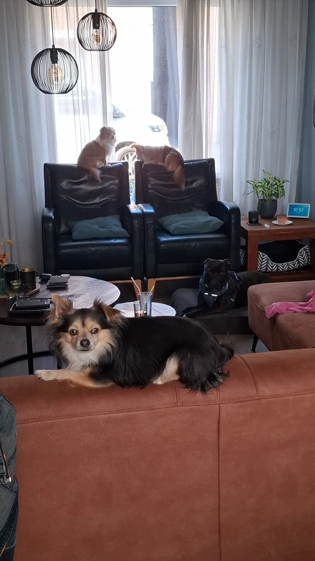 image-15