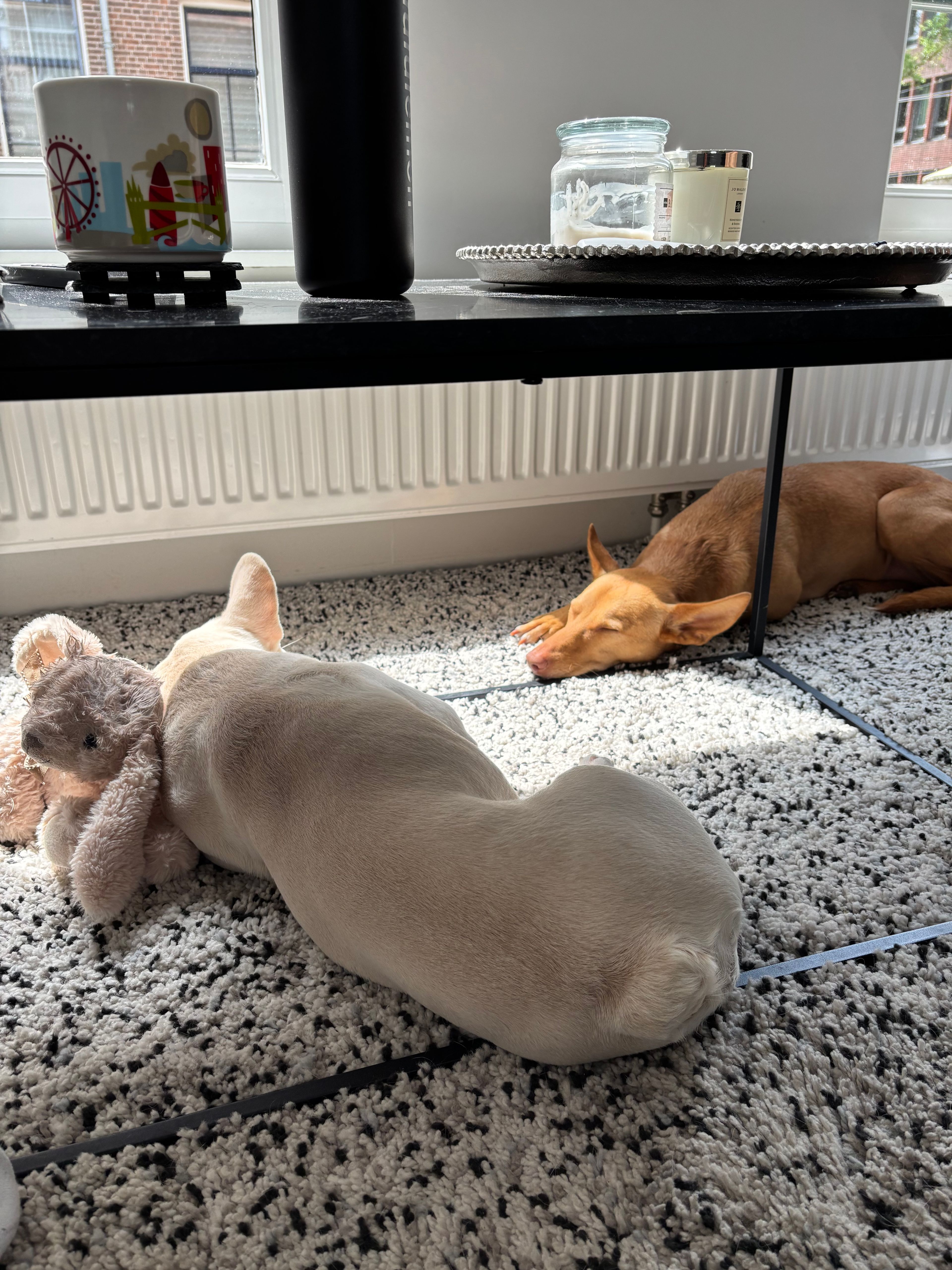 image-32