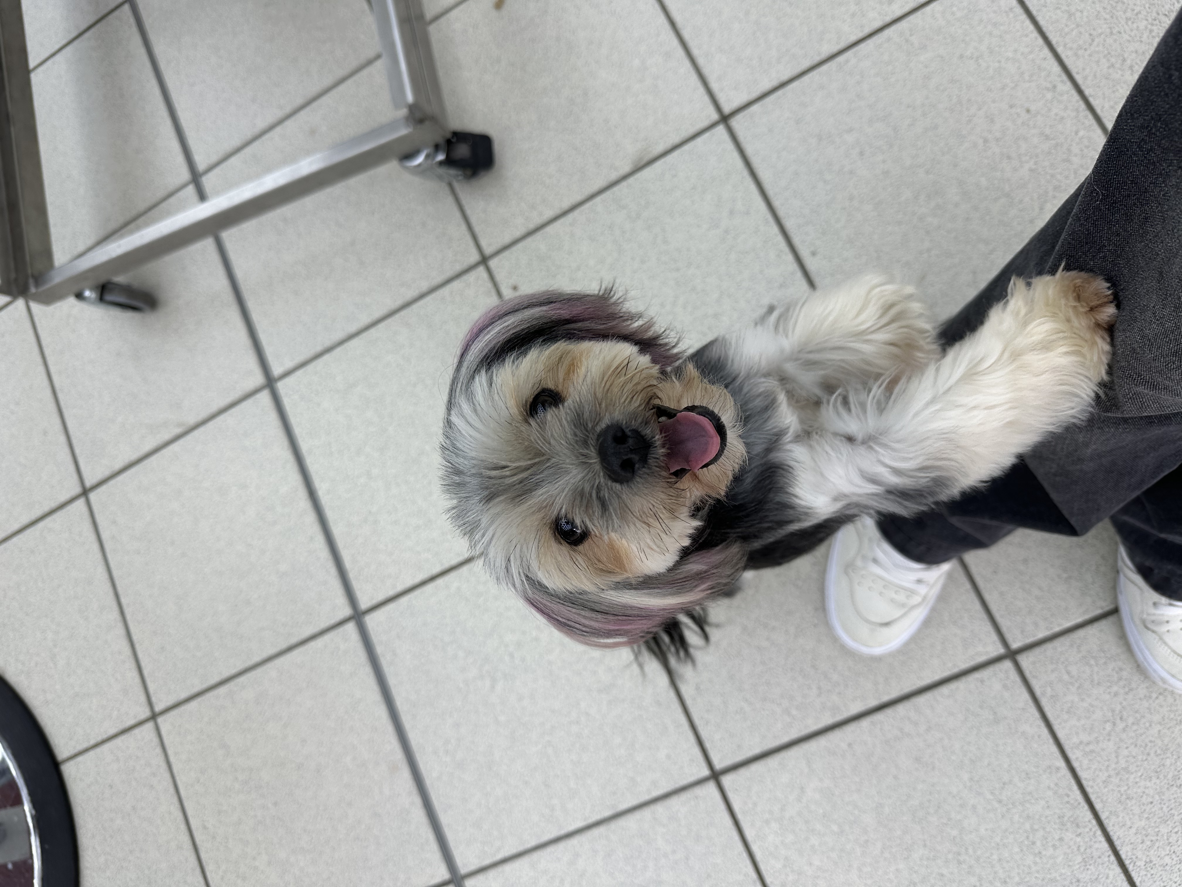 image-7