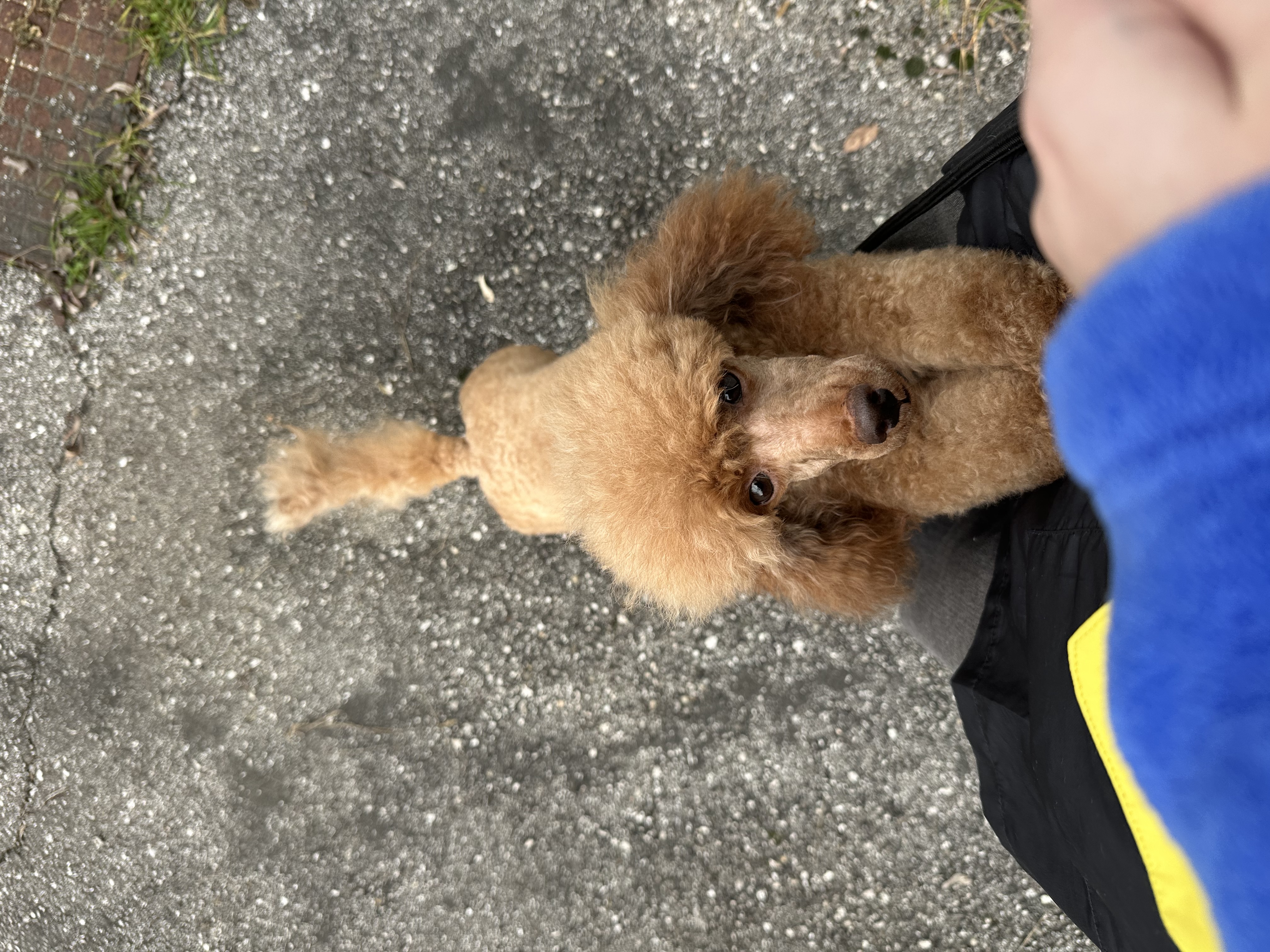 image-5