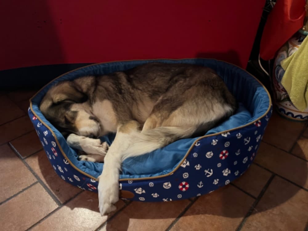 image-5