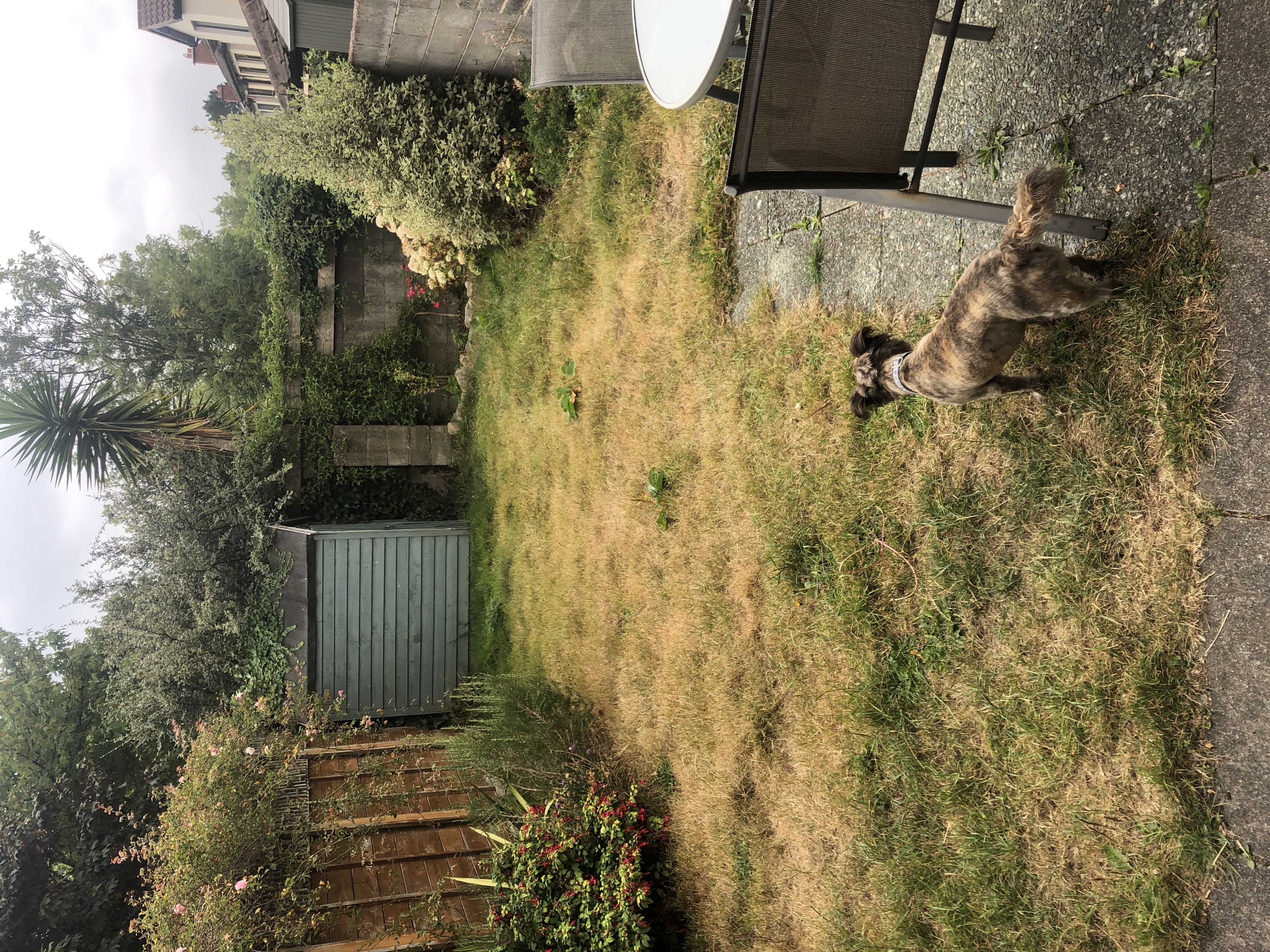 image-9