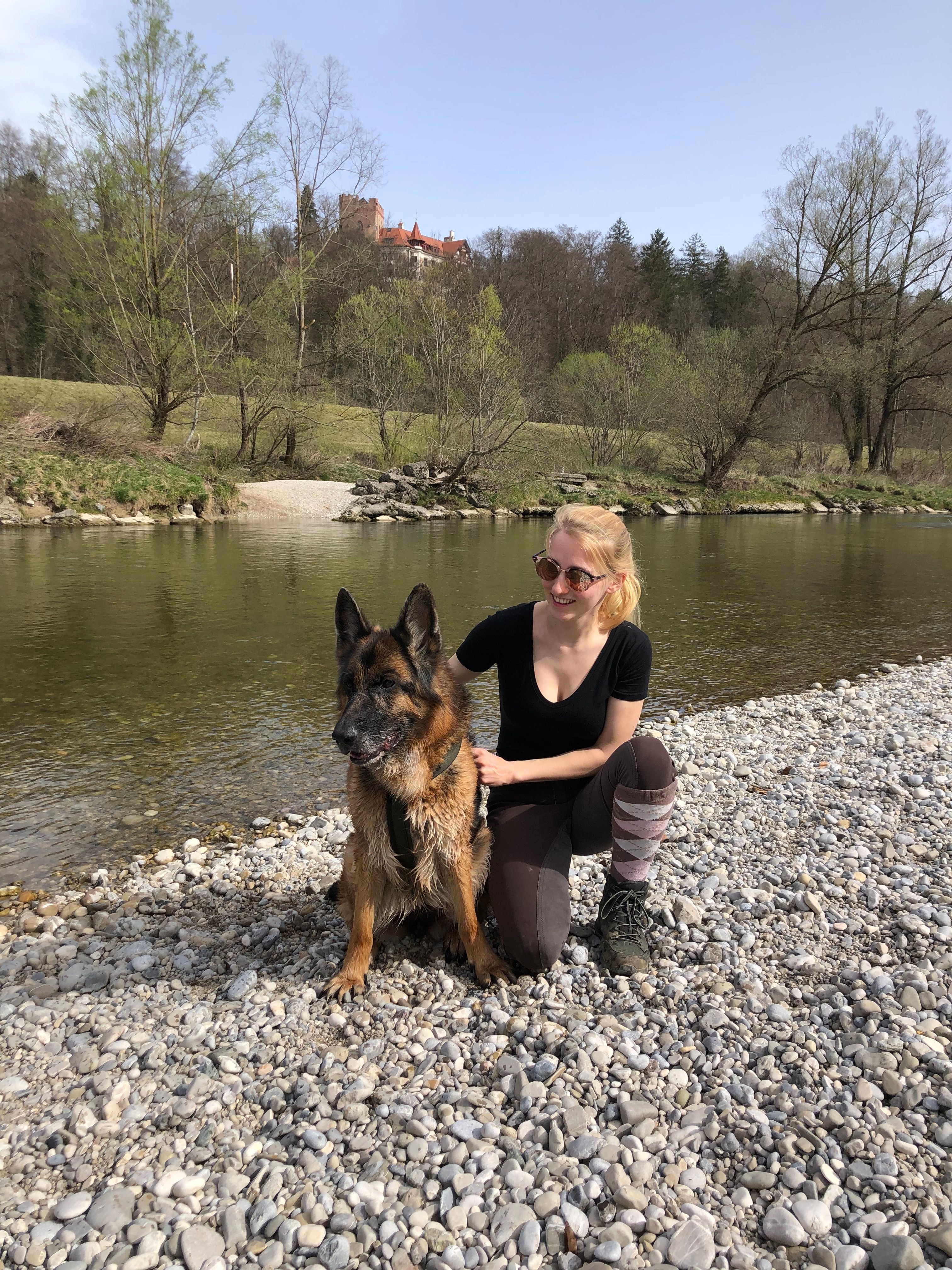 image-6