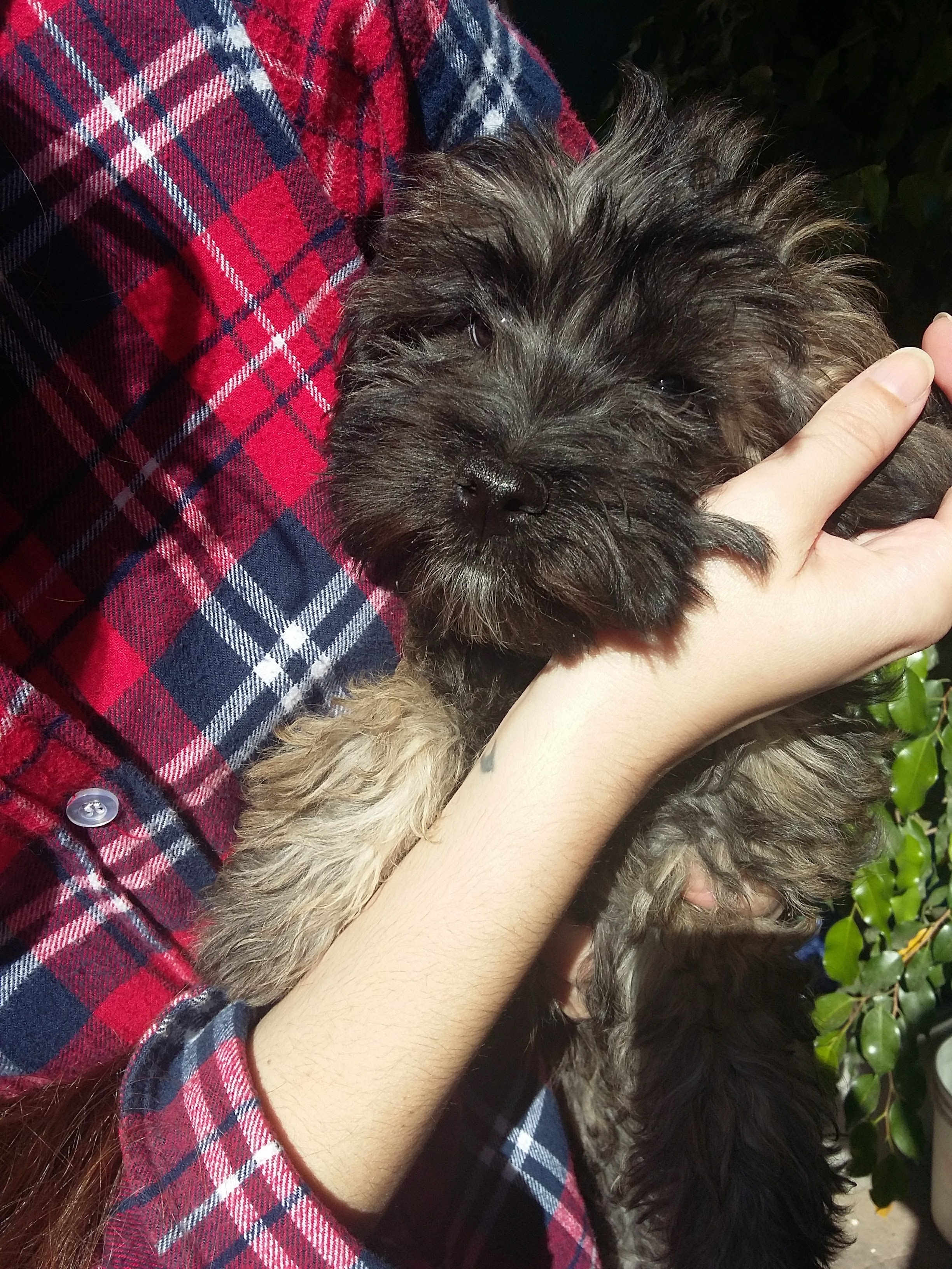 image-4