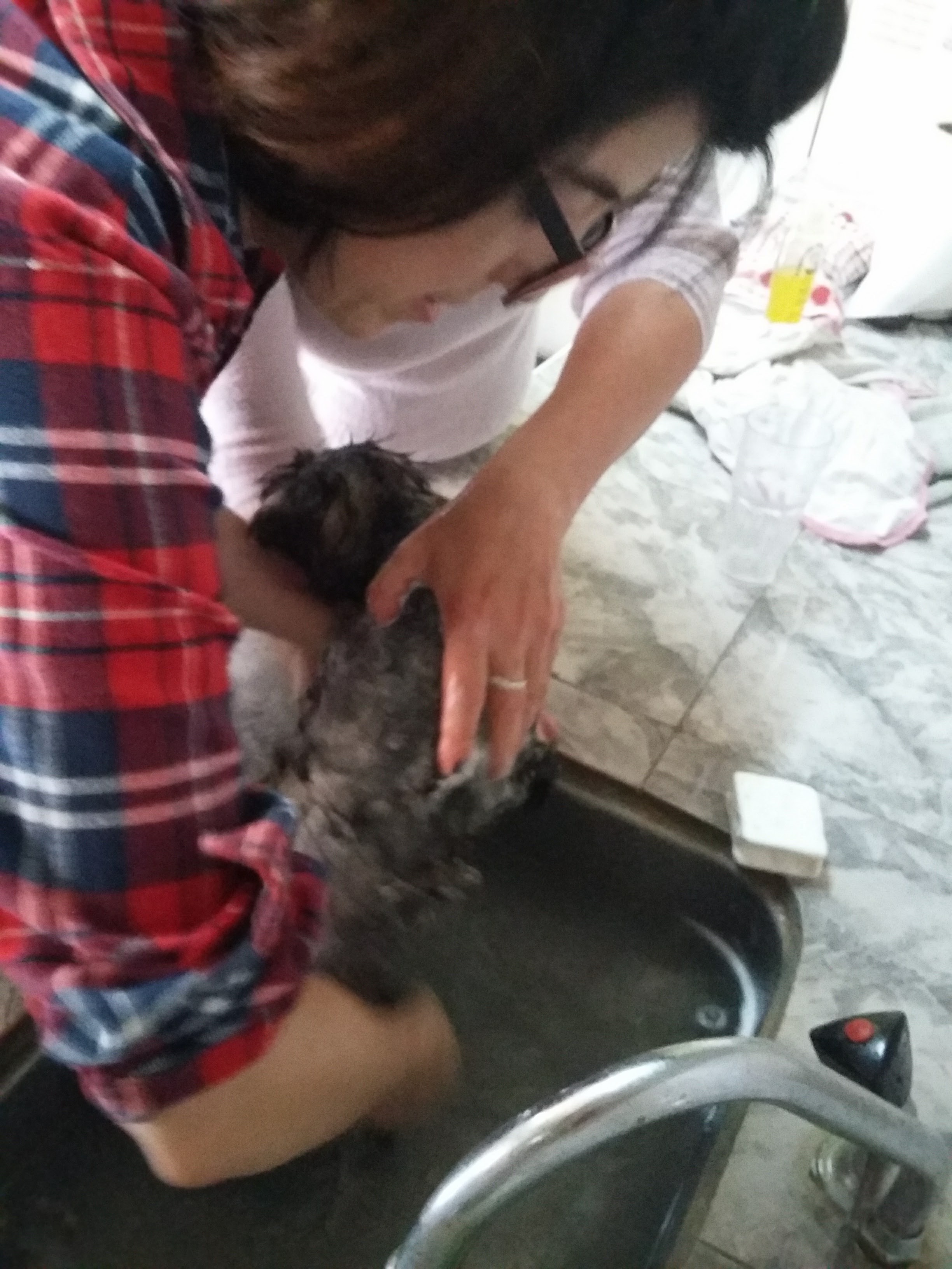 image-5