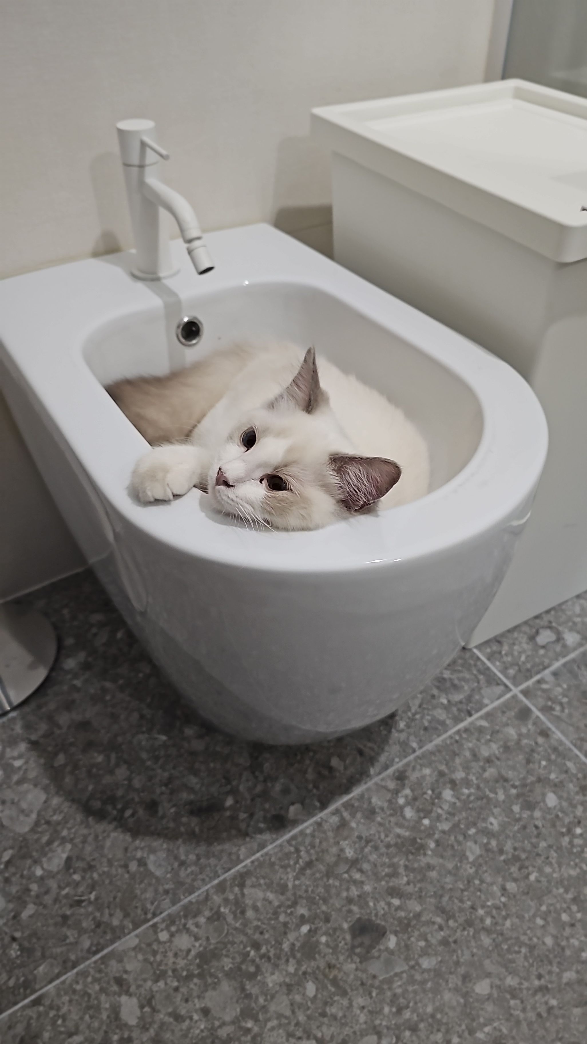 image-16