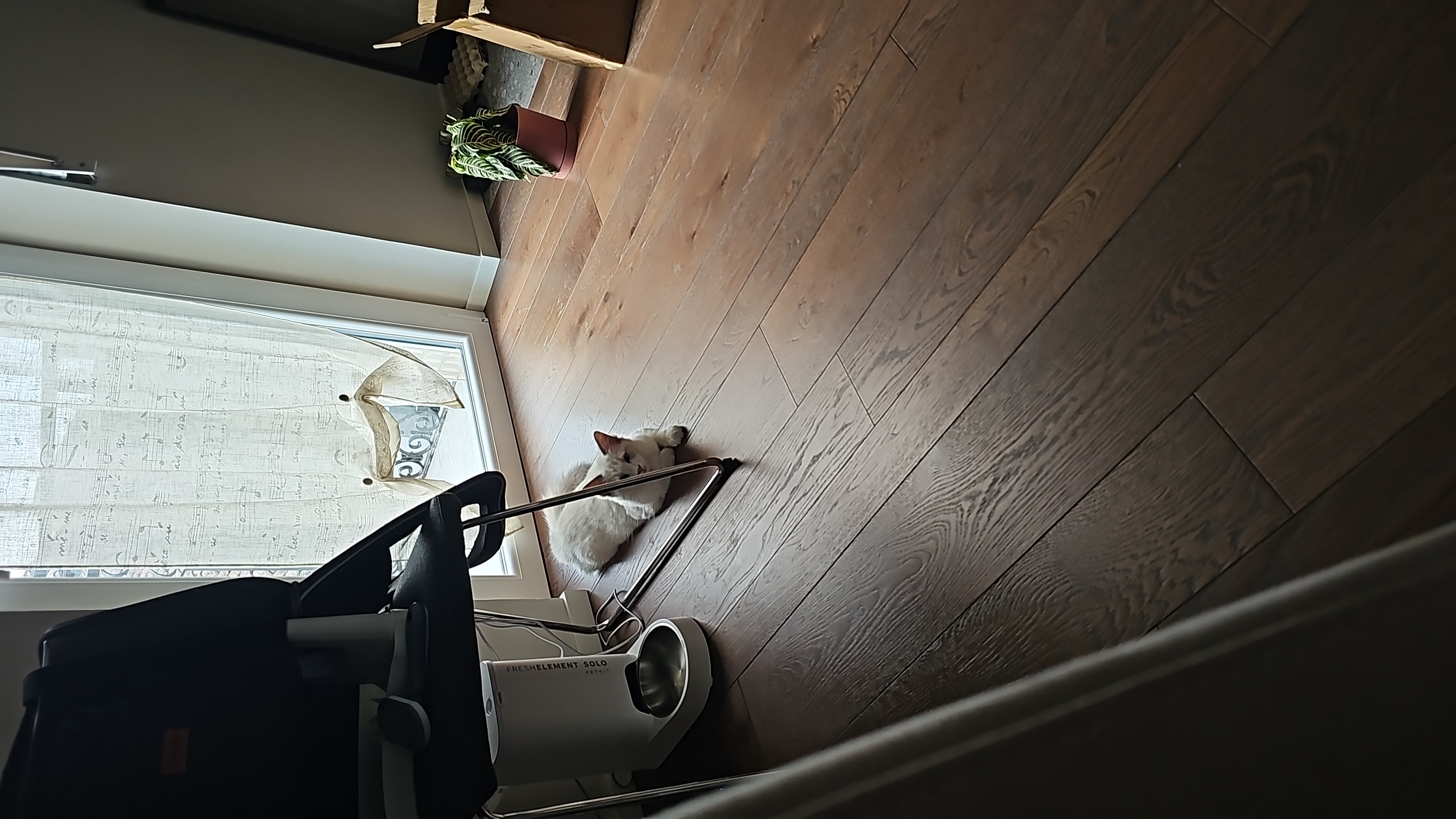 image-19