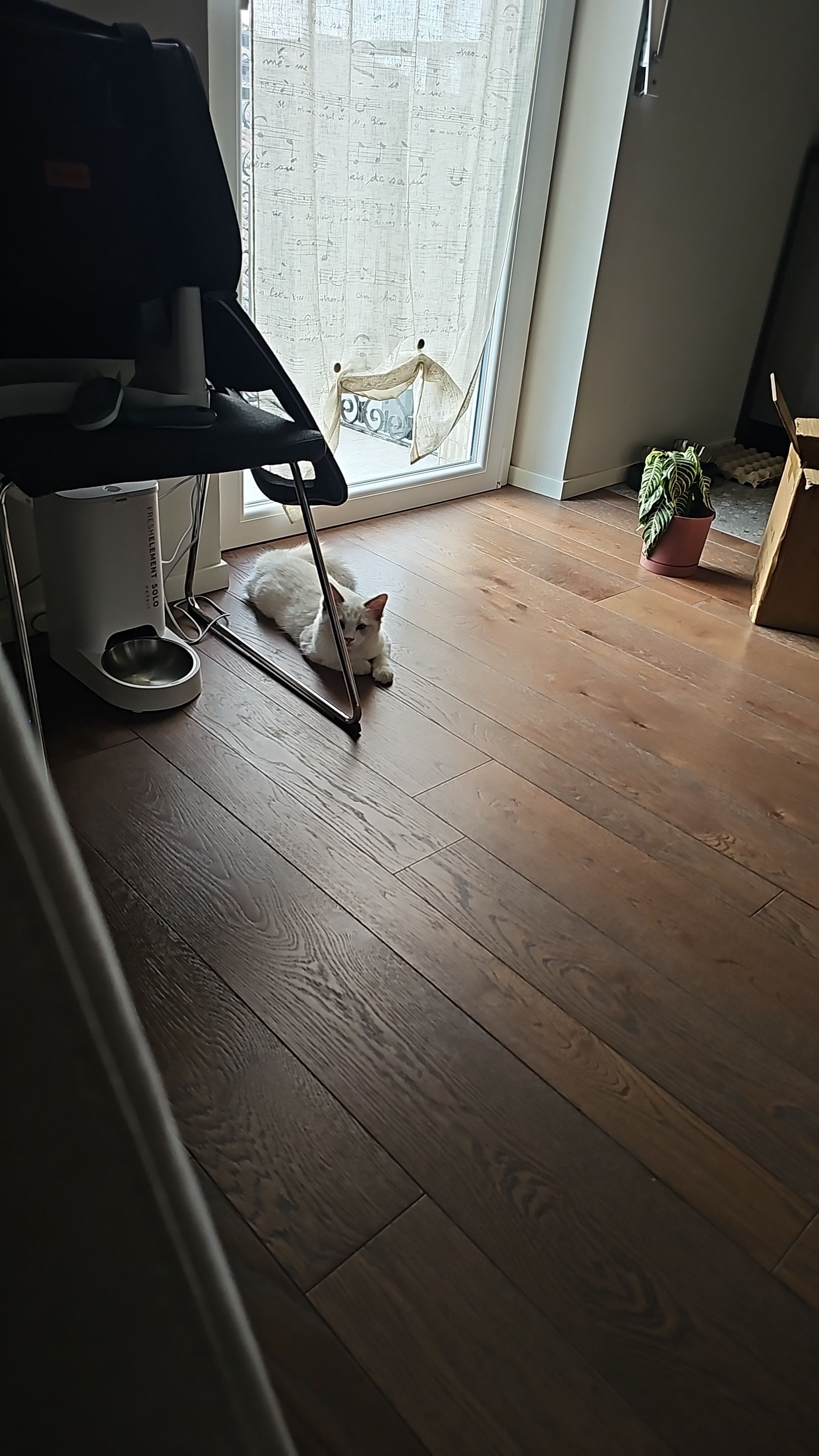 image-19