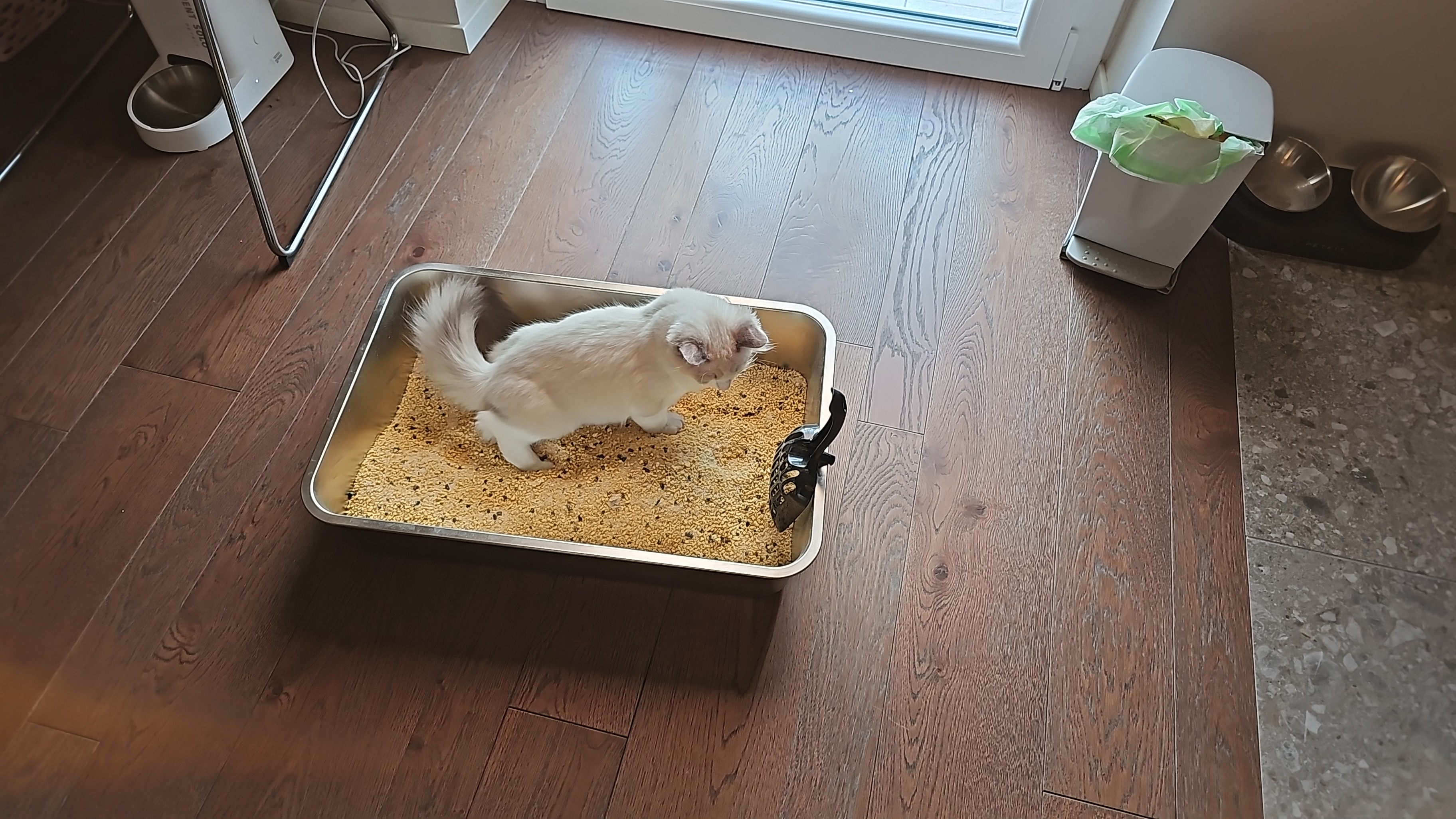 image-15