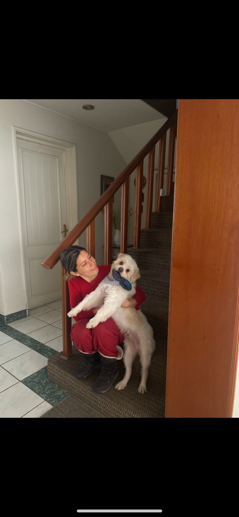 image-12