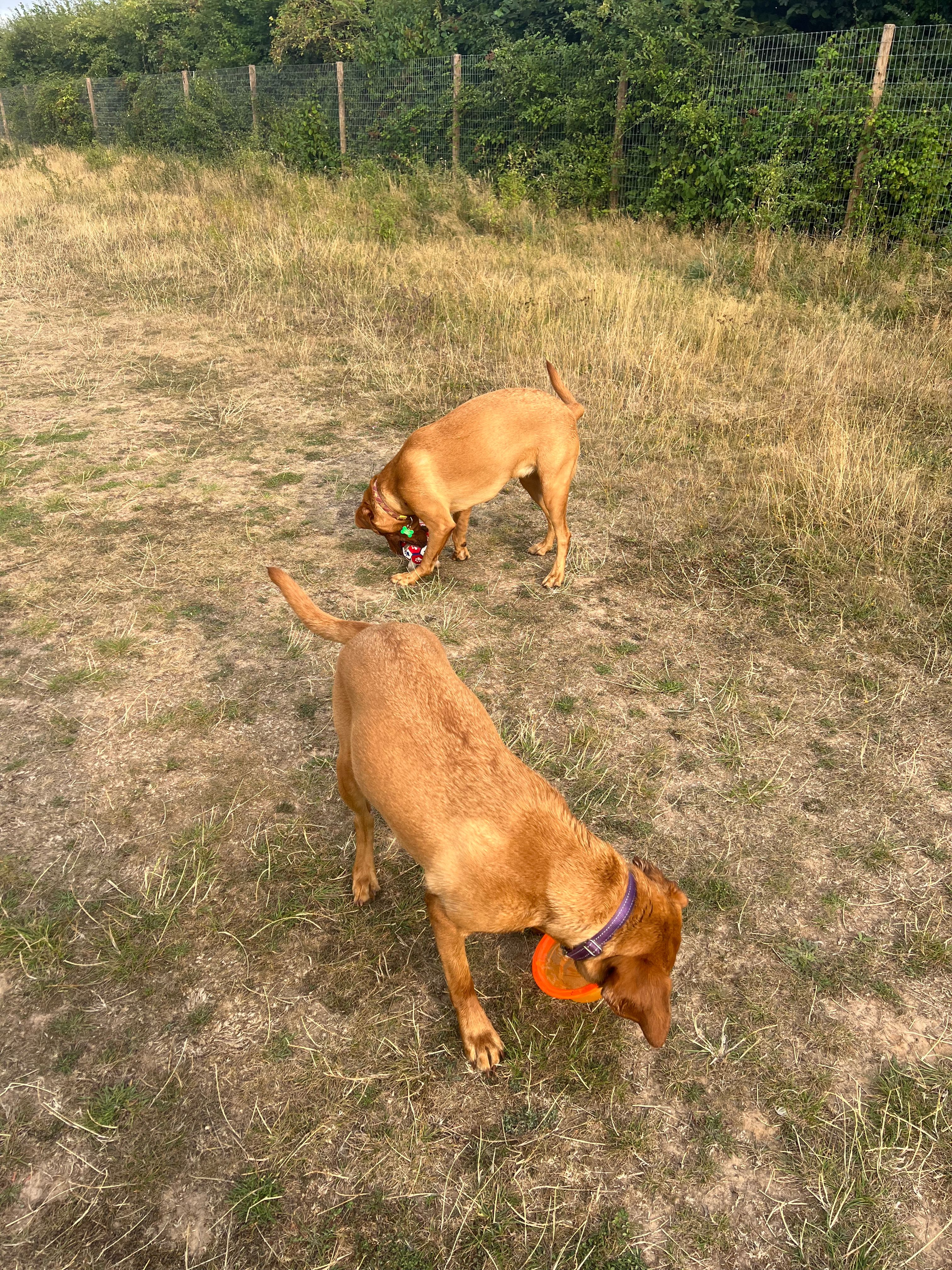 image-20