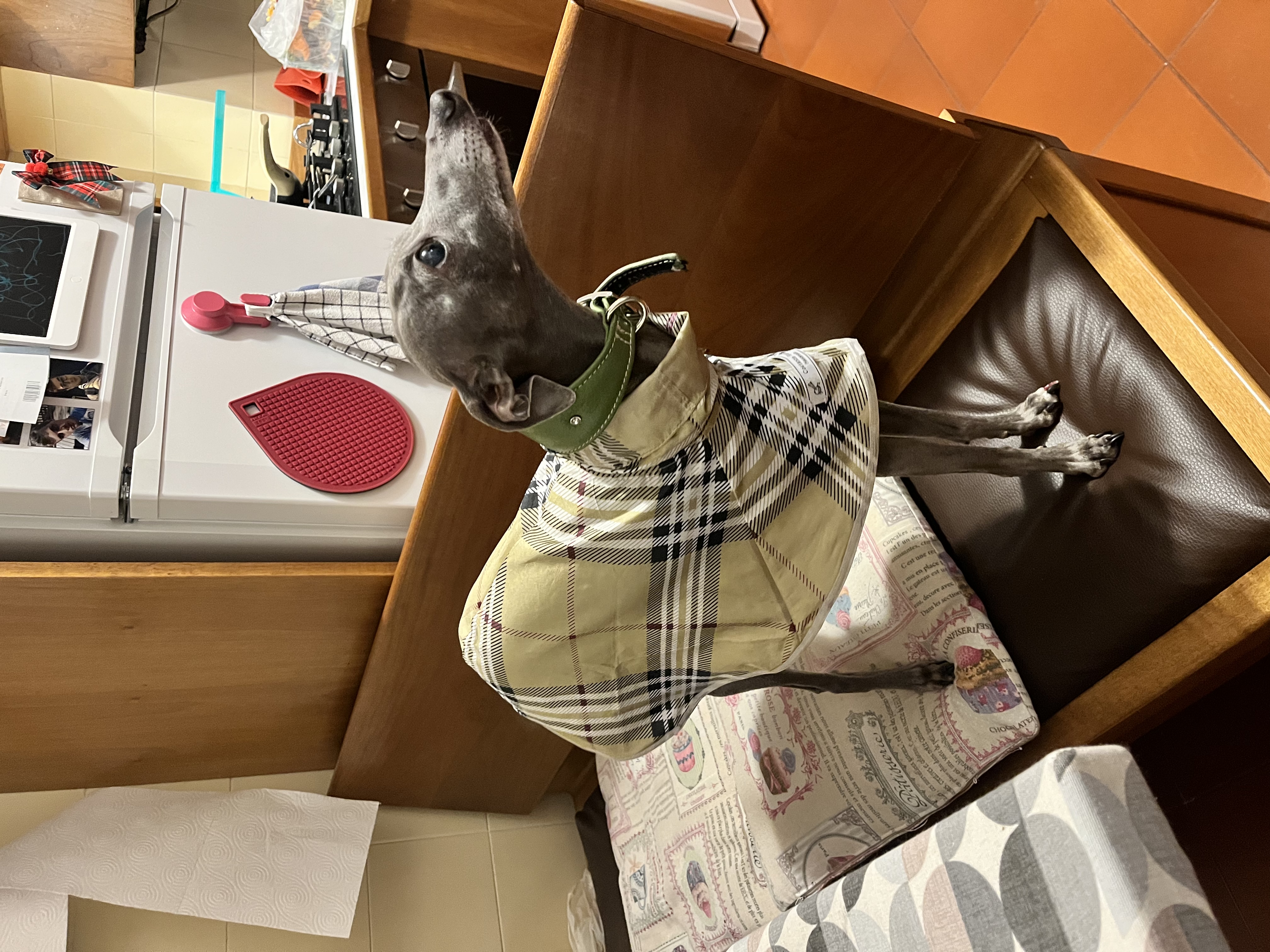 image-18