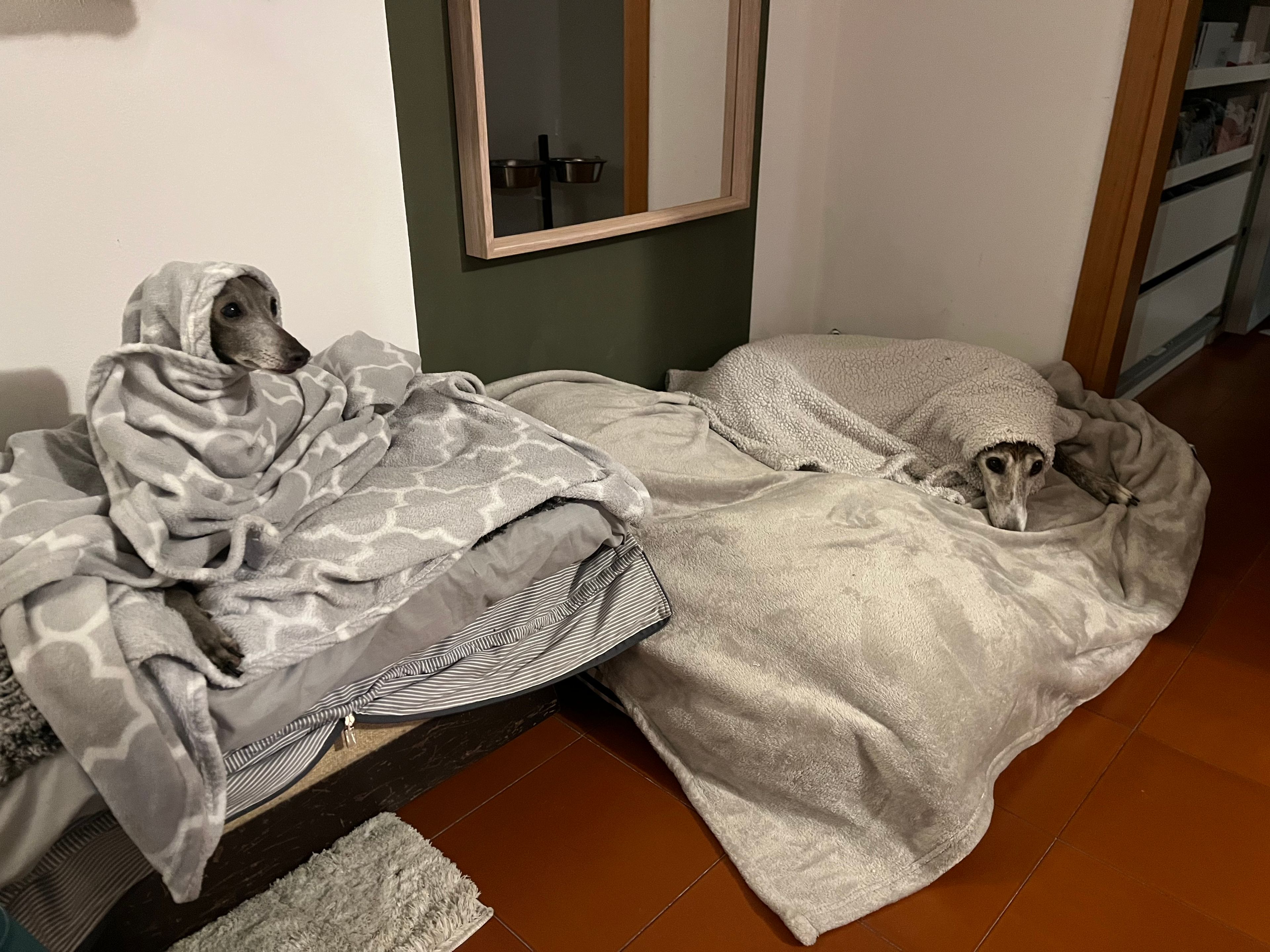 image-19