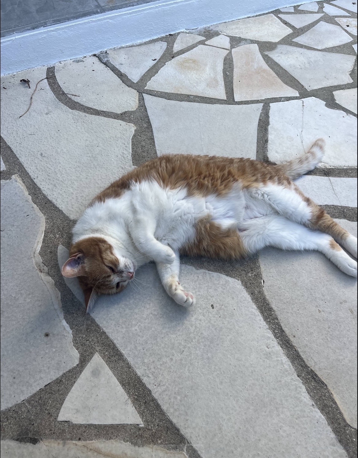 image-6
