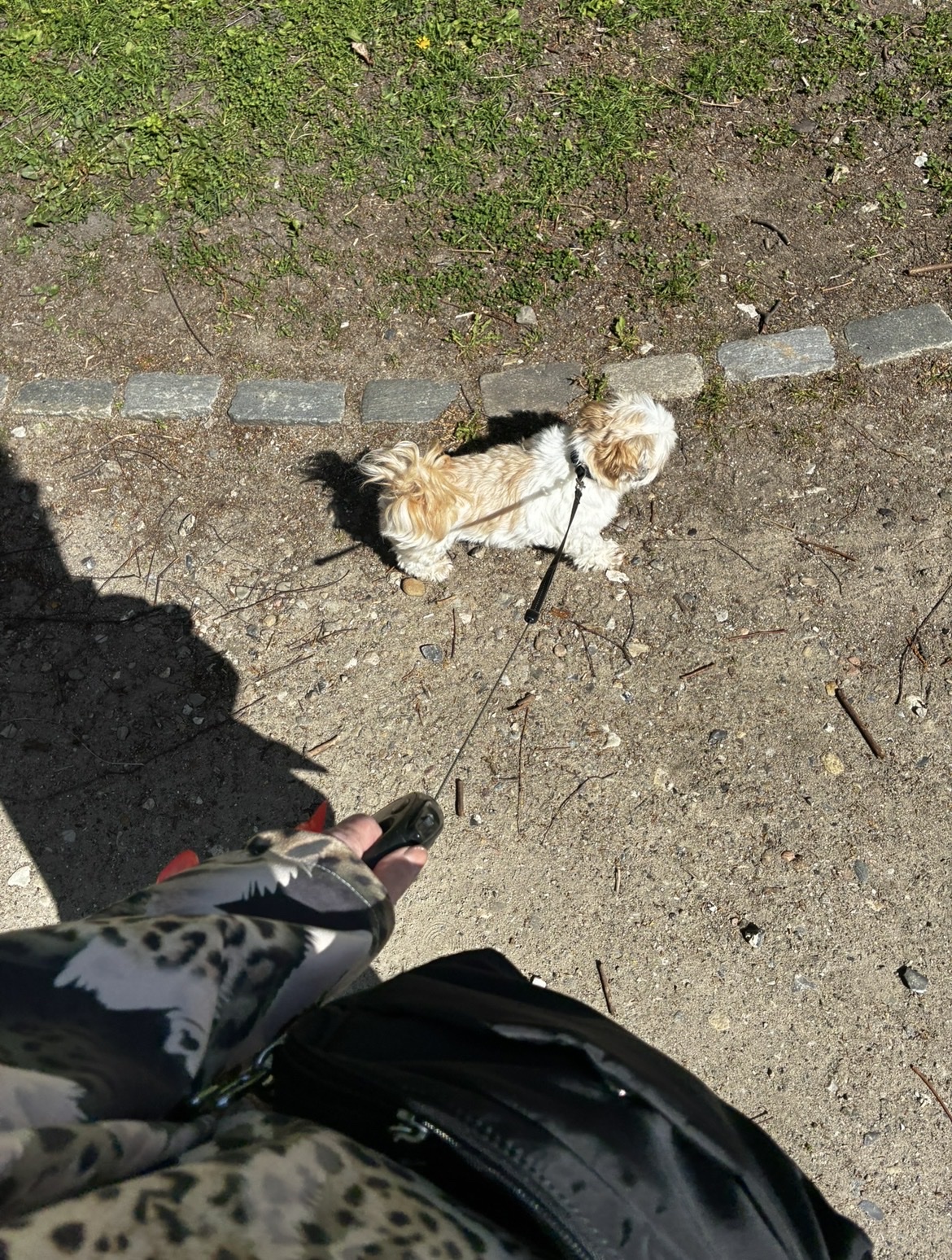 image-13