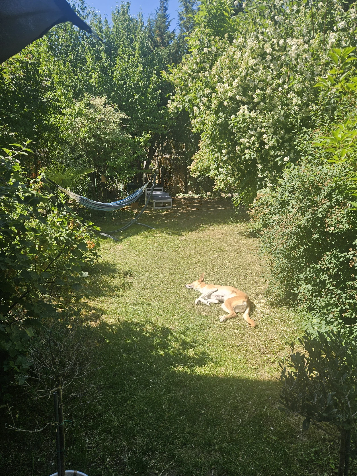 image-18