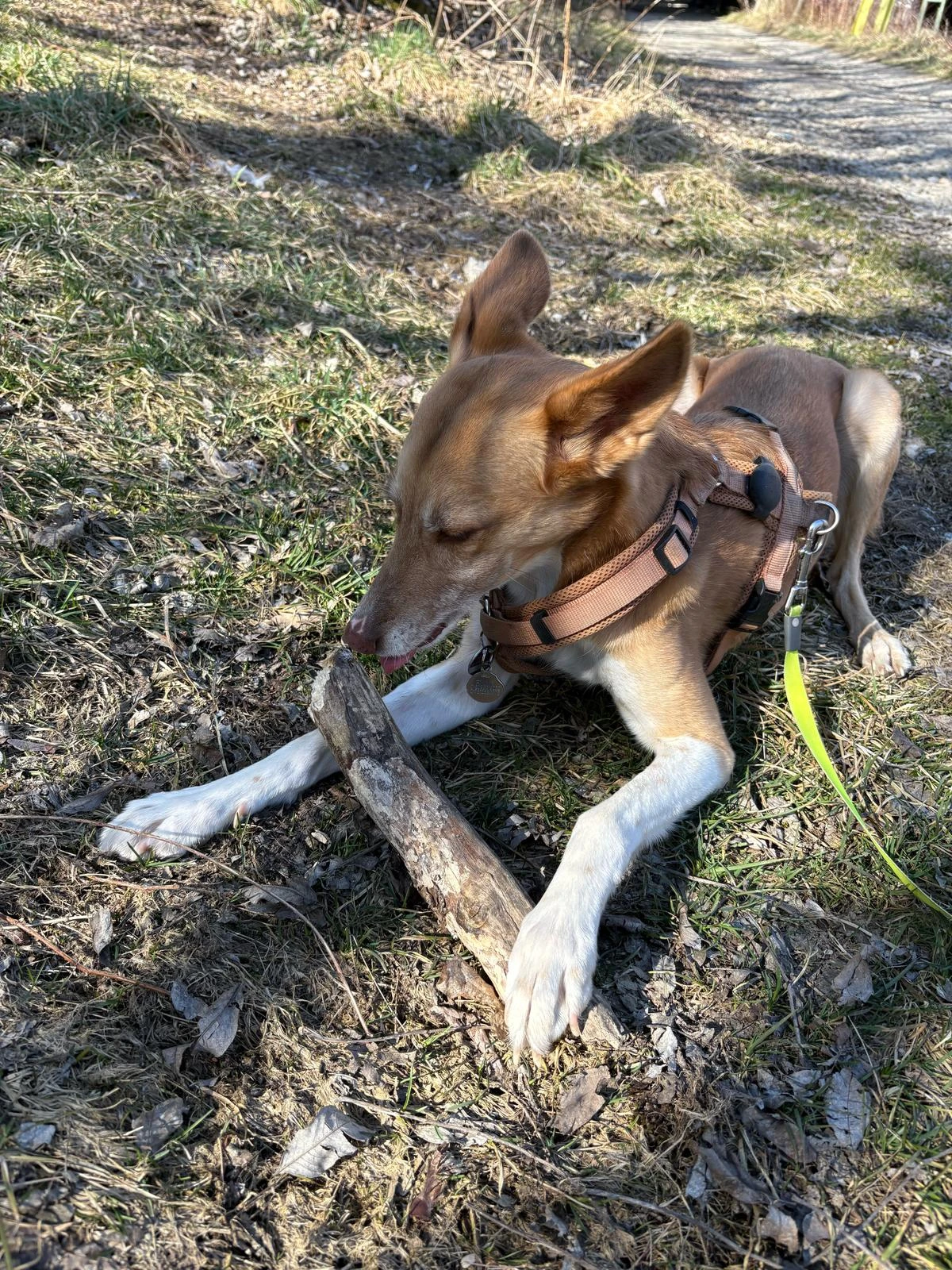 image-8