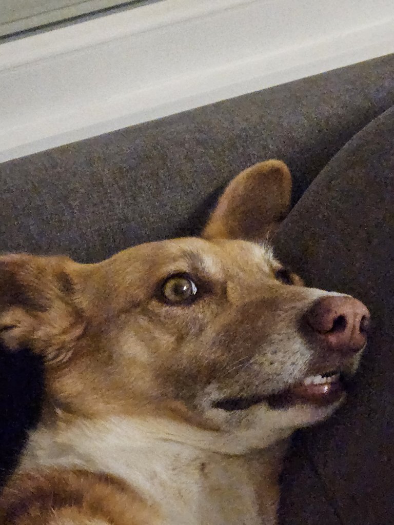 Emmy