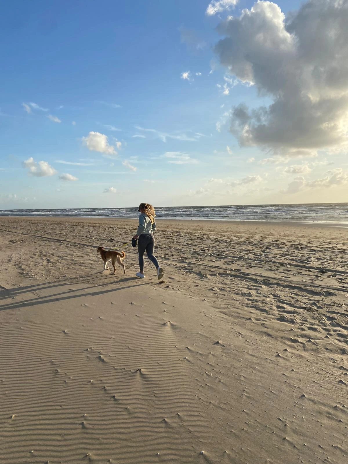 image-17