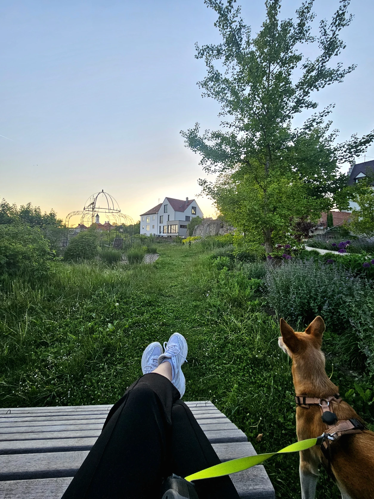 image-5