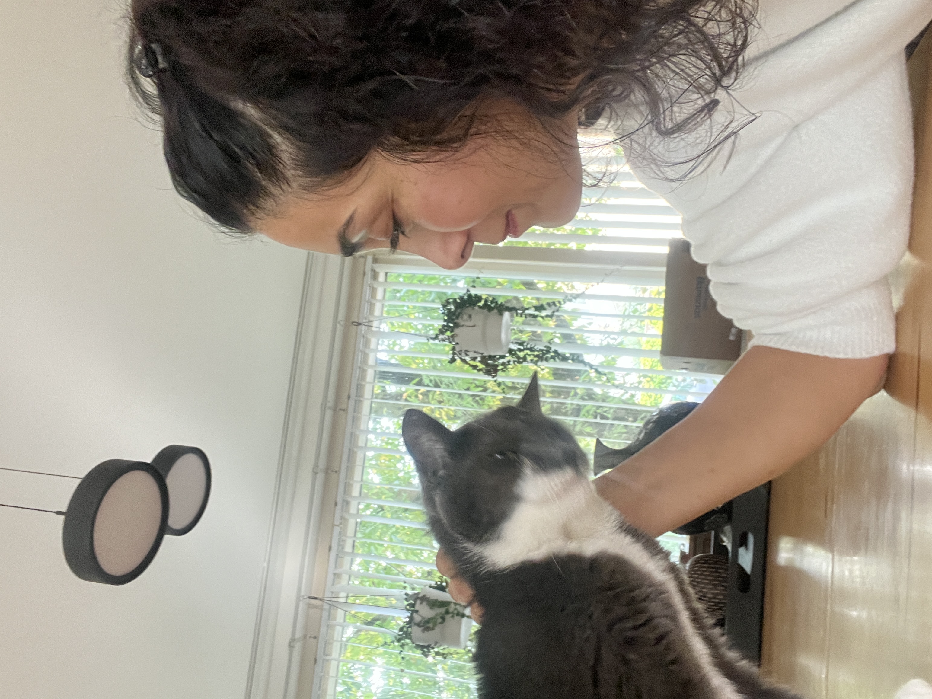 image-24