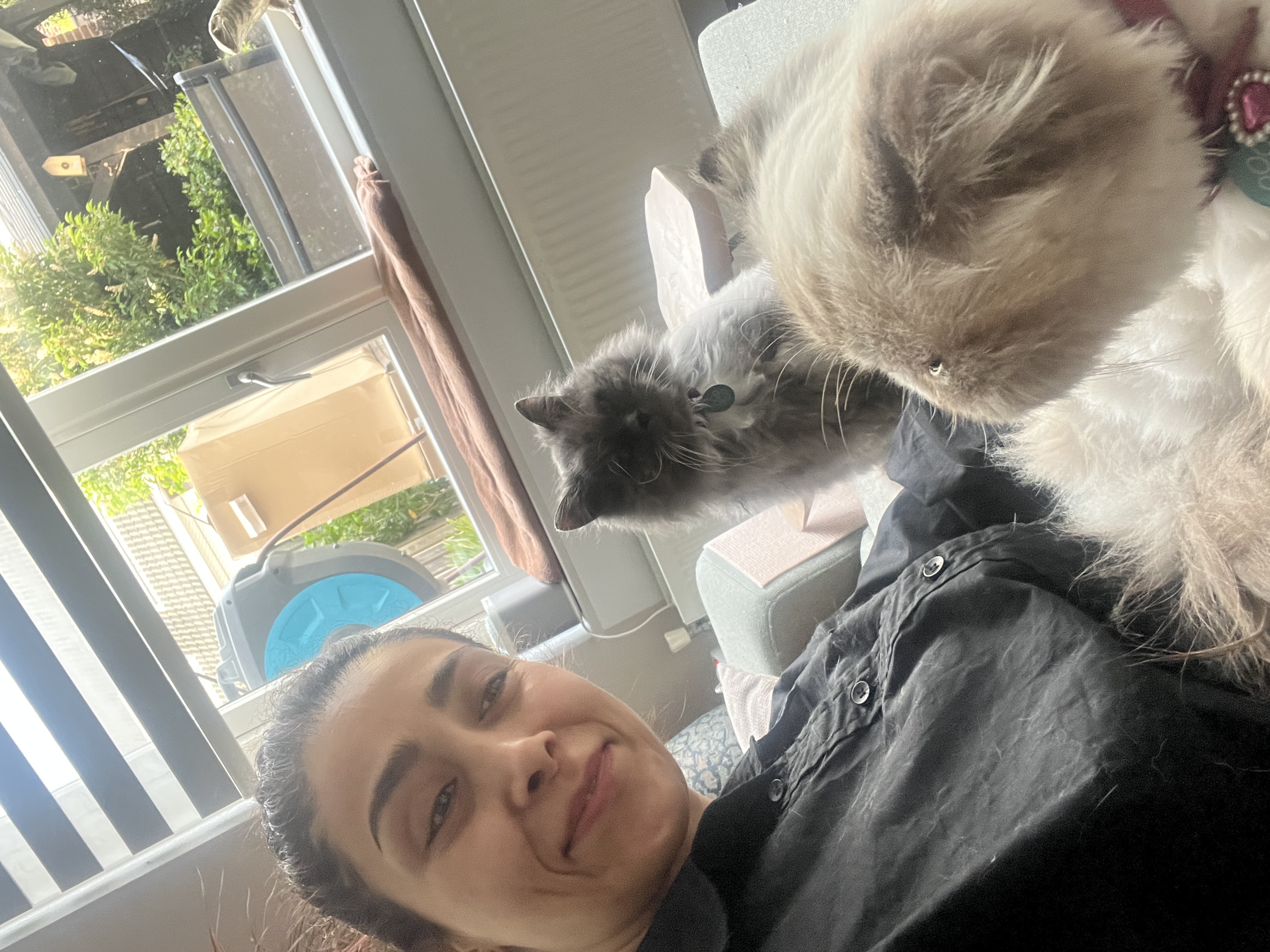 image-20