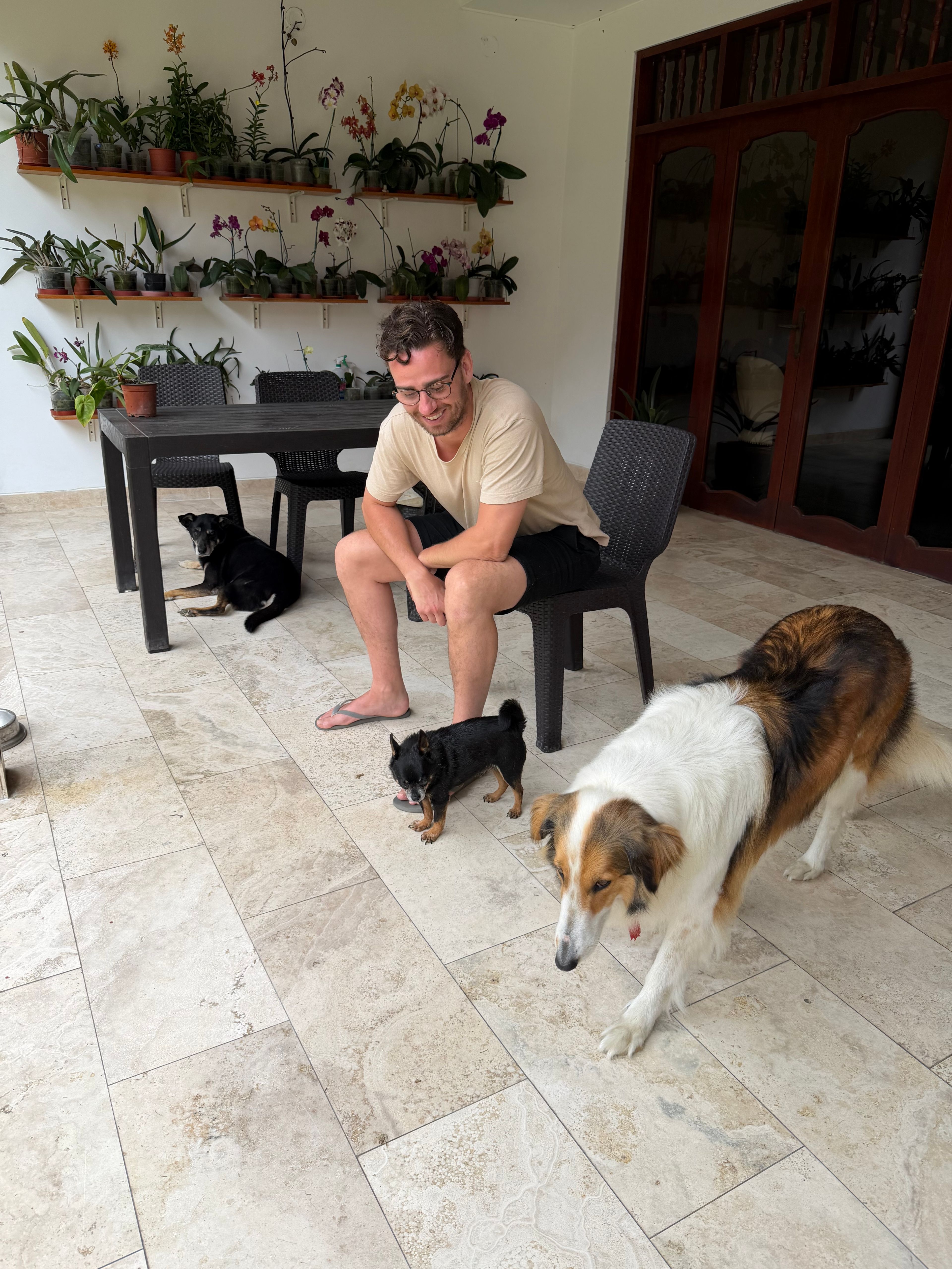 image-0