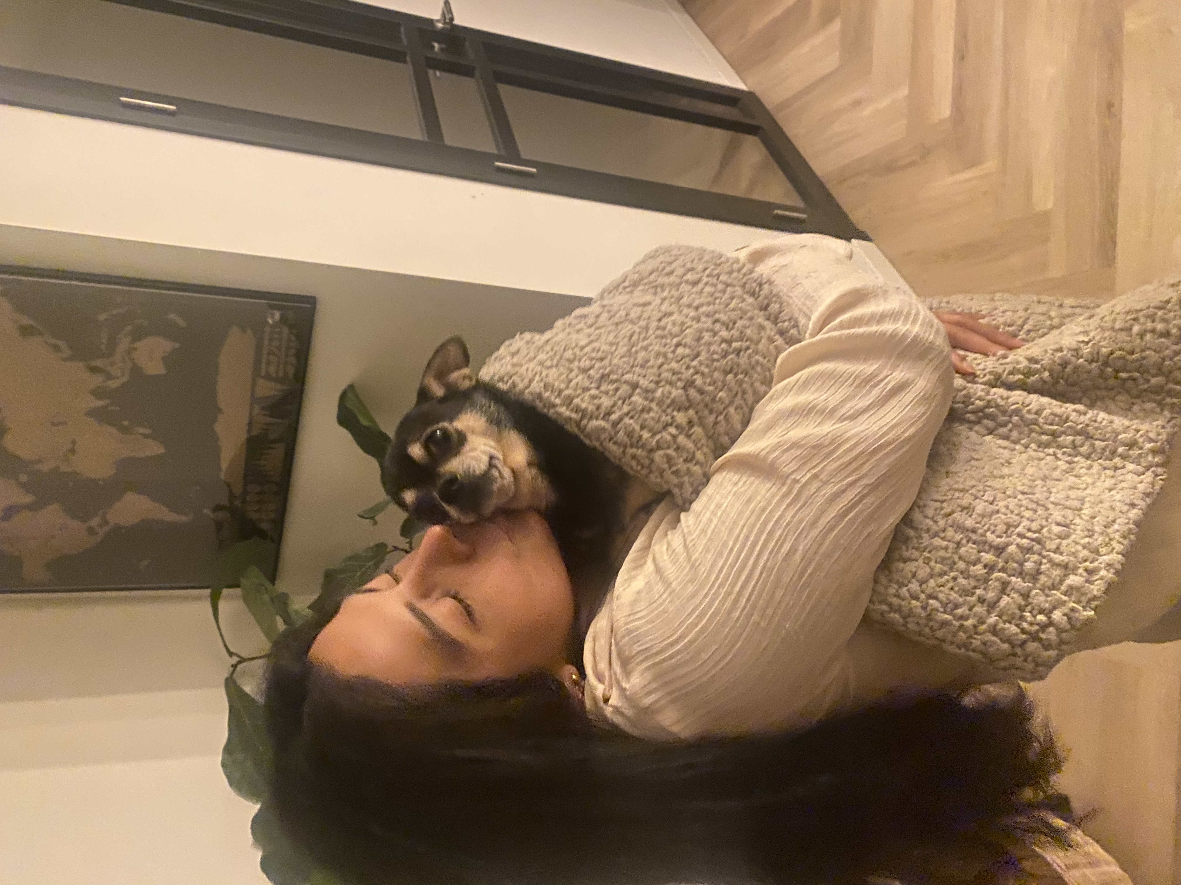 image-6