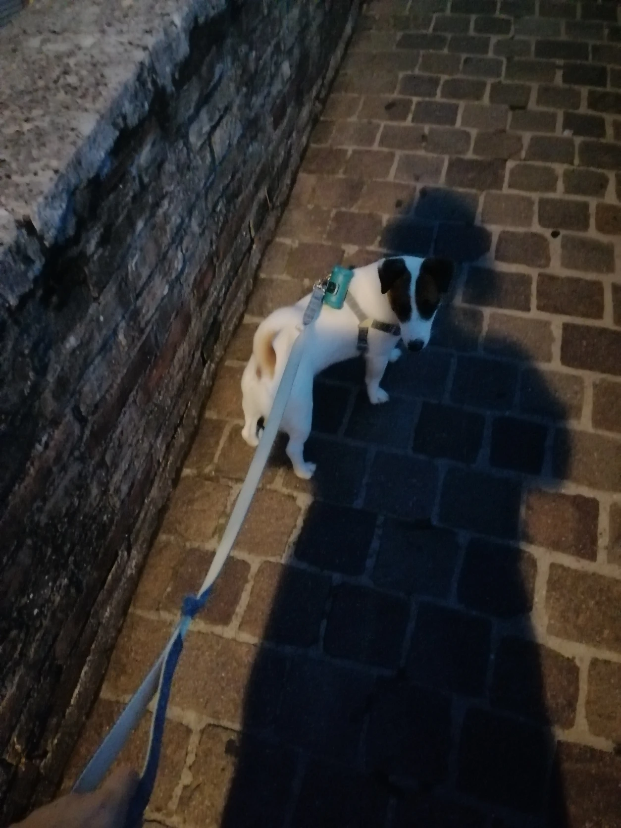 image-12