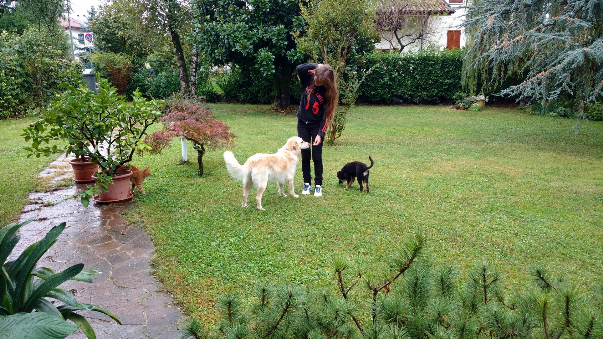 image-12