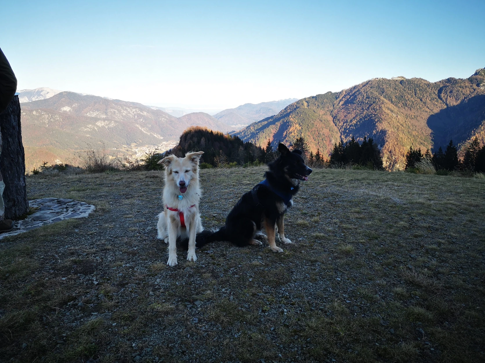 image-5