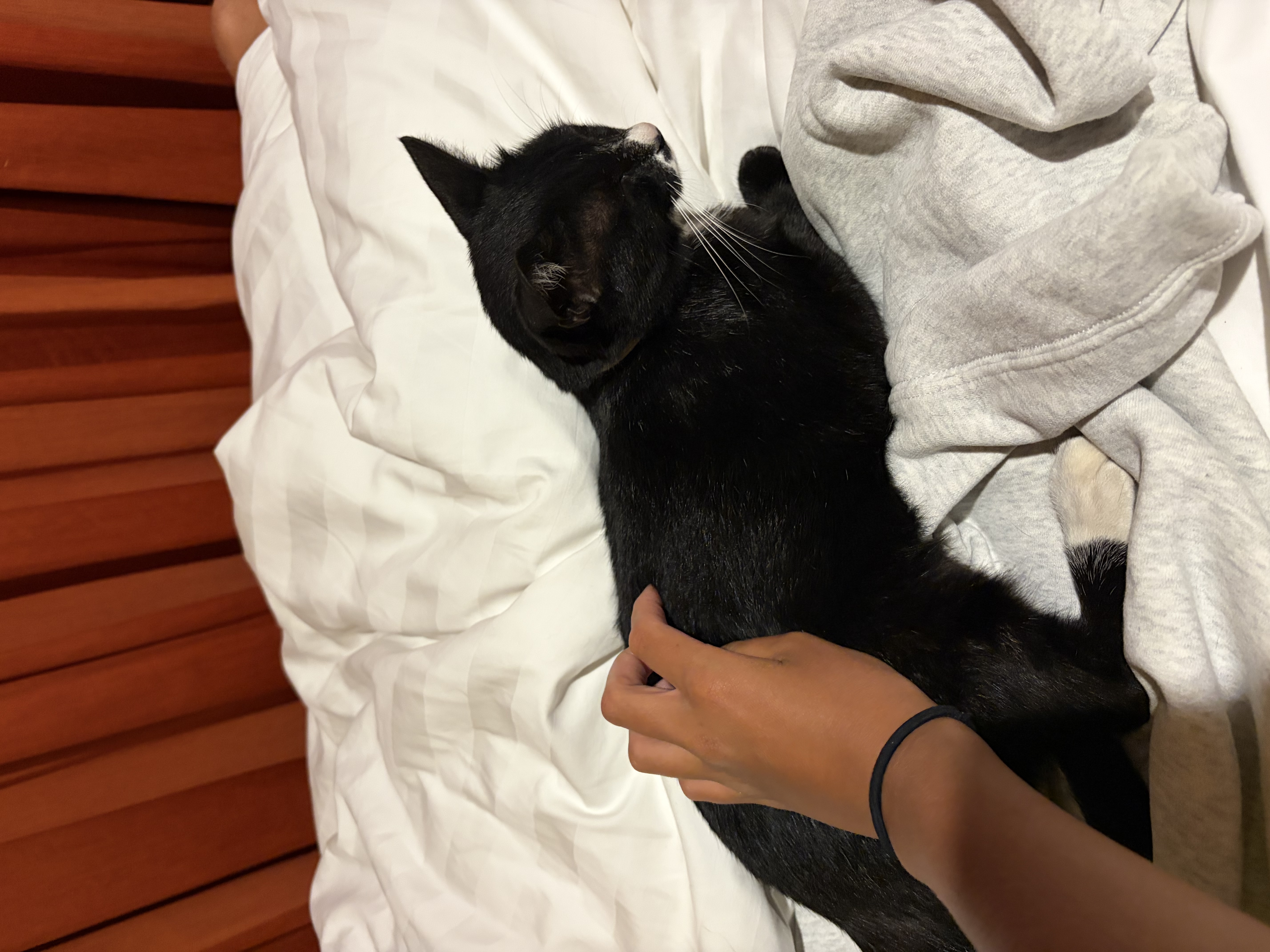 image-6