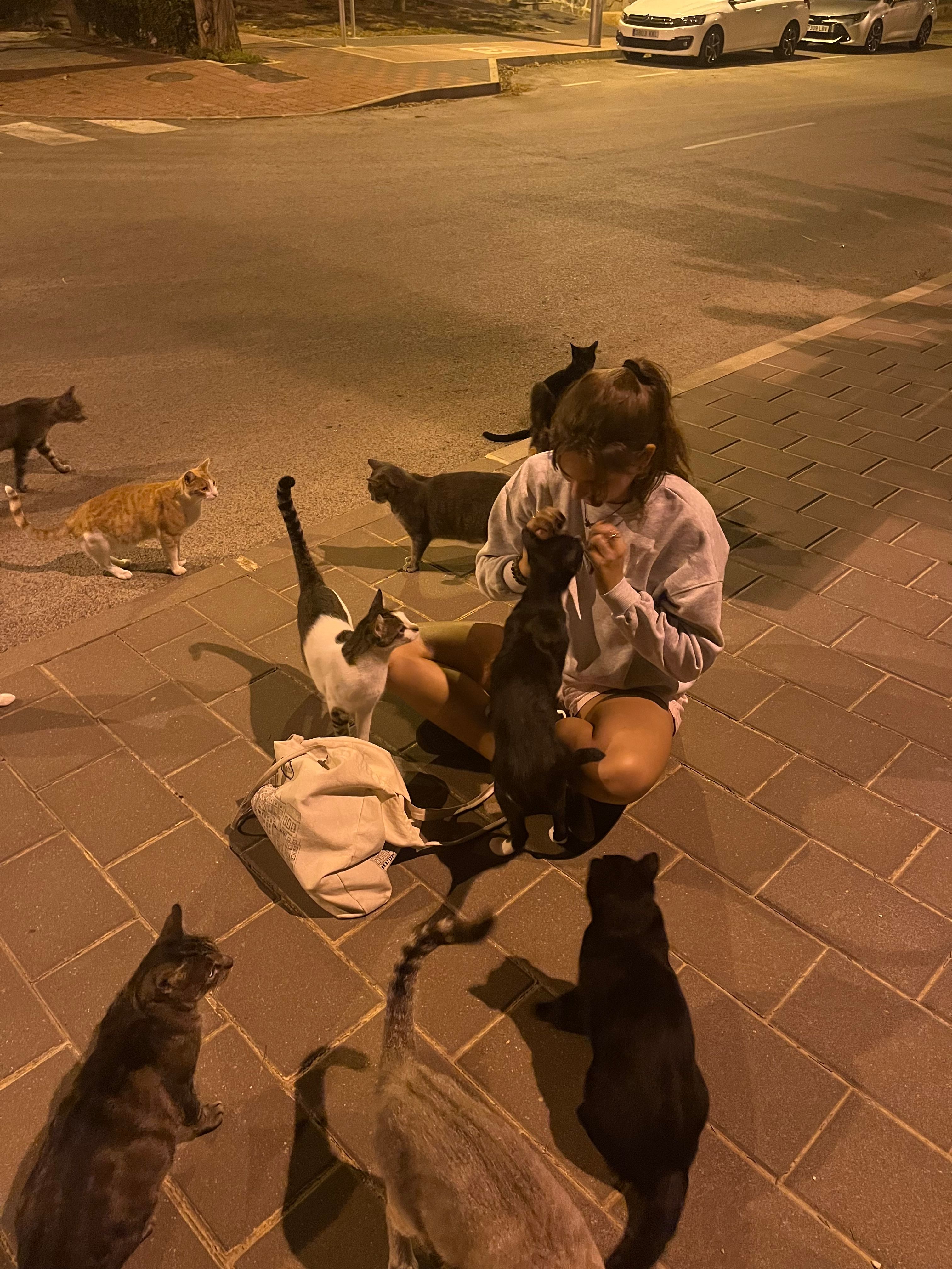 image-8